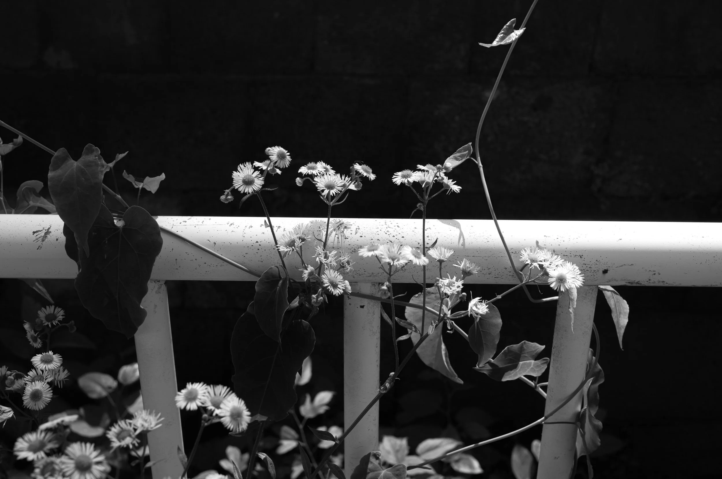 Slawo Urban Photographer - Everything Belongs-13.jpg