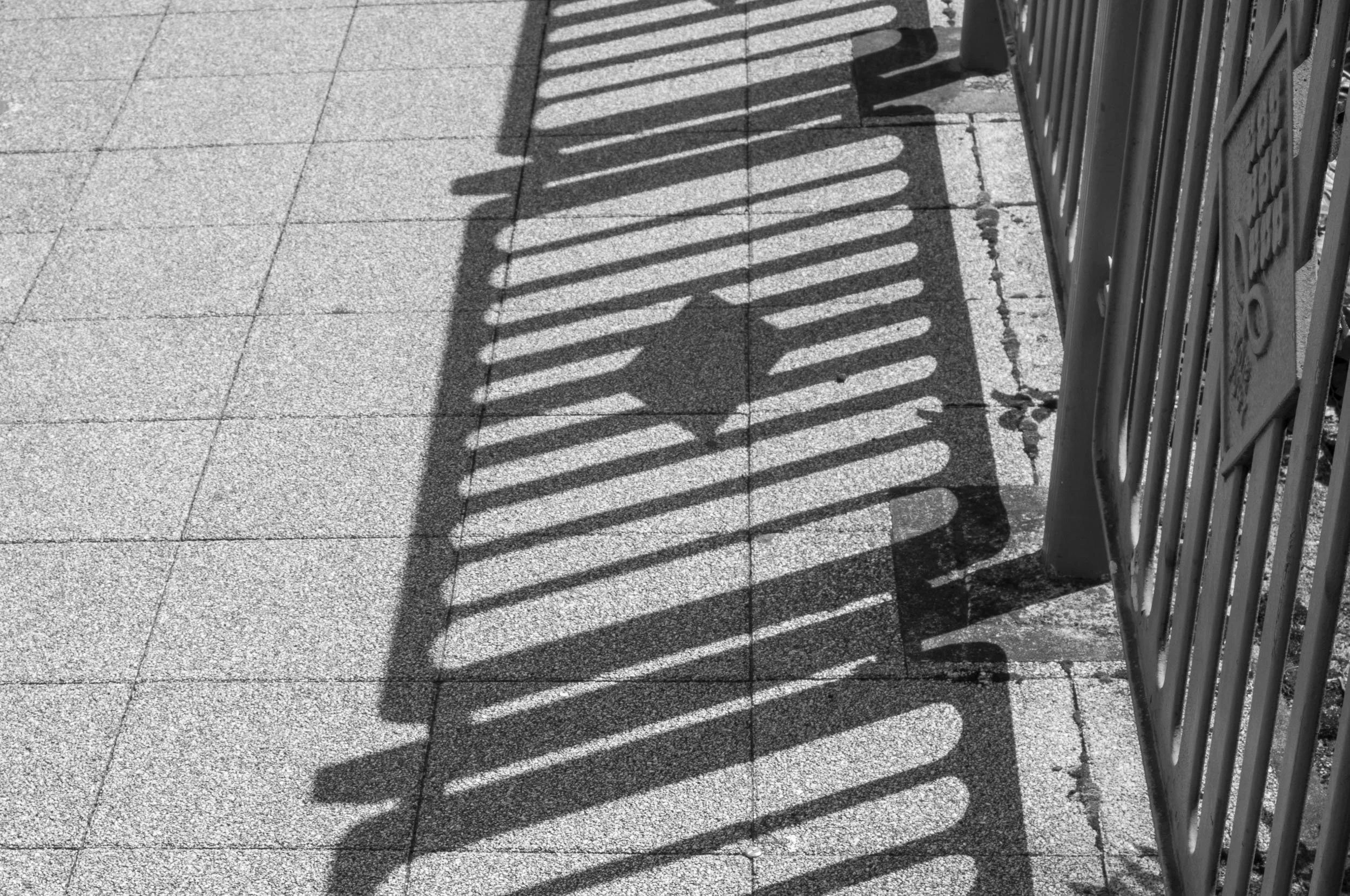 Slawo Urban Photographer - Everything Belongs-15.jpg