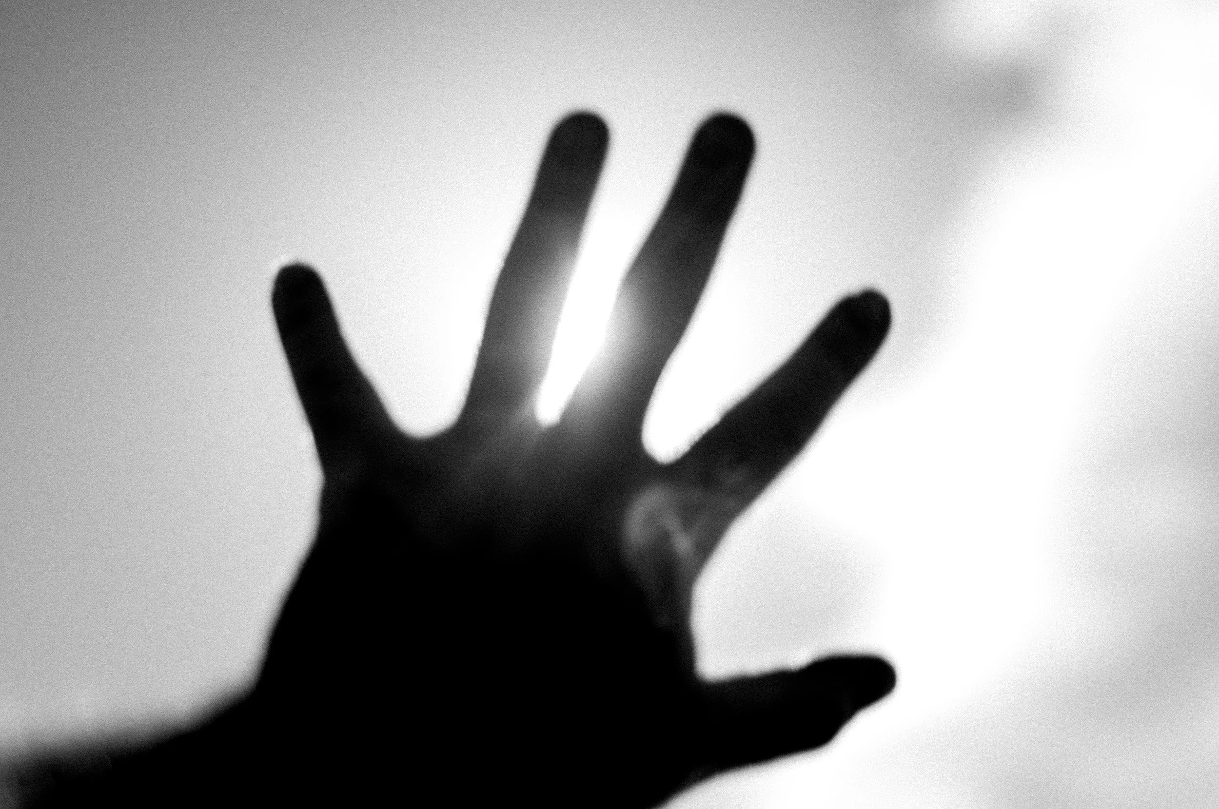 Slawo Urban Photographer - Reaching for the Sun -1.jpg