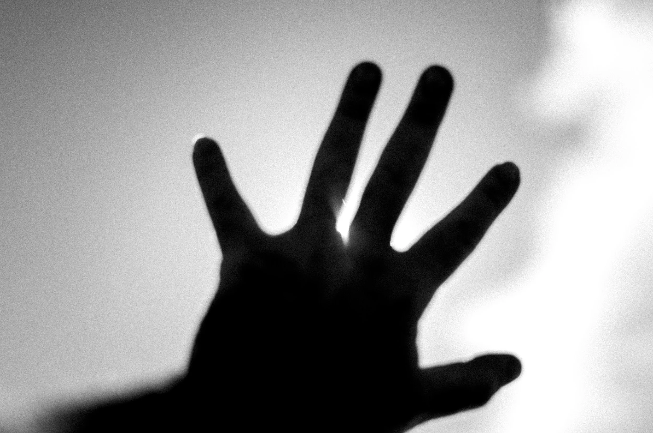 Slawo Urban Photographer - Reaching for the Sun -2.jpg