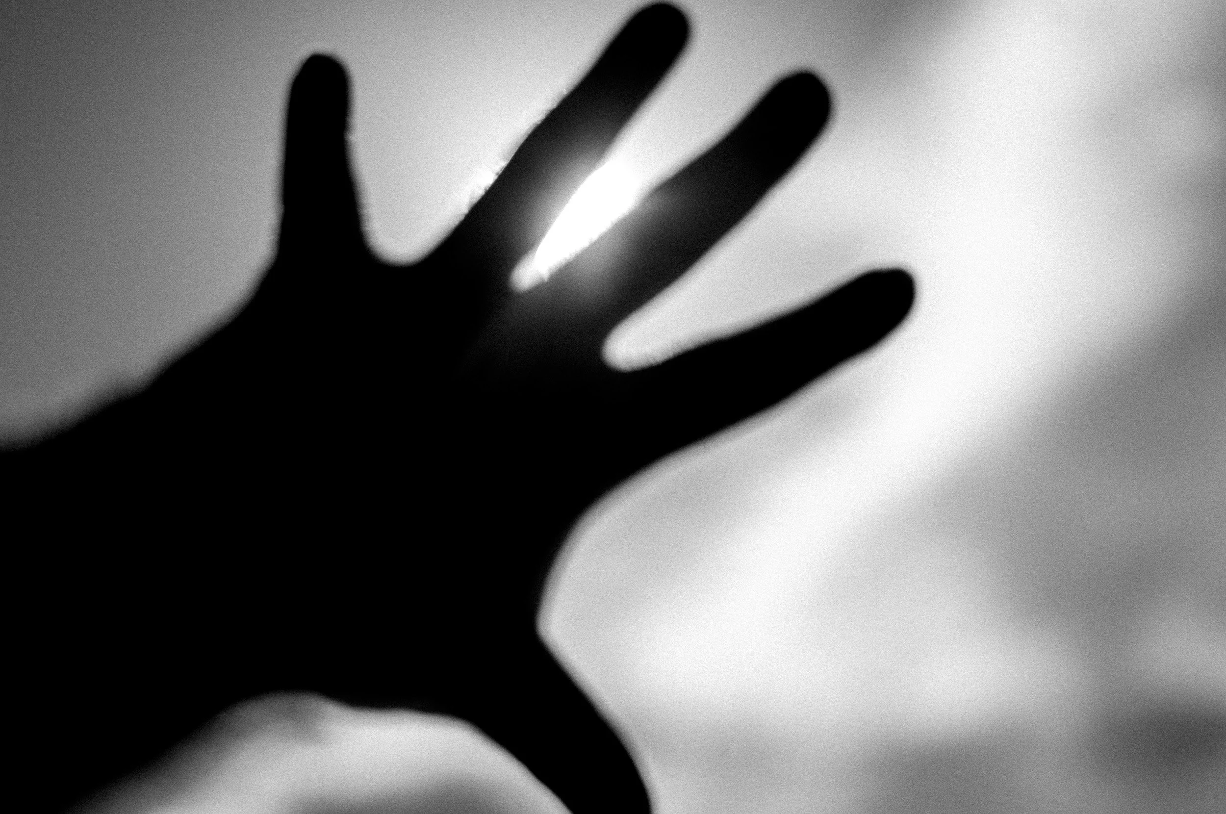 Slawo Urban Photographer - Reaching for the Sun -3.jpg