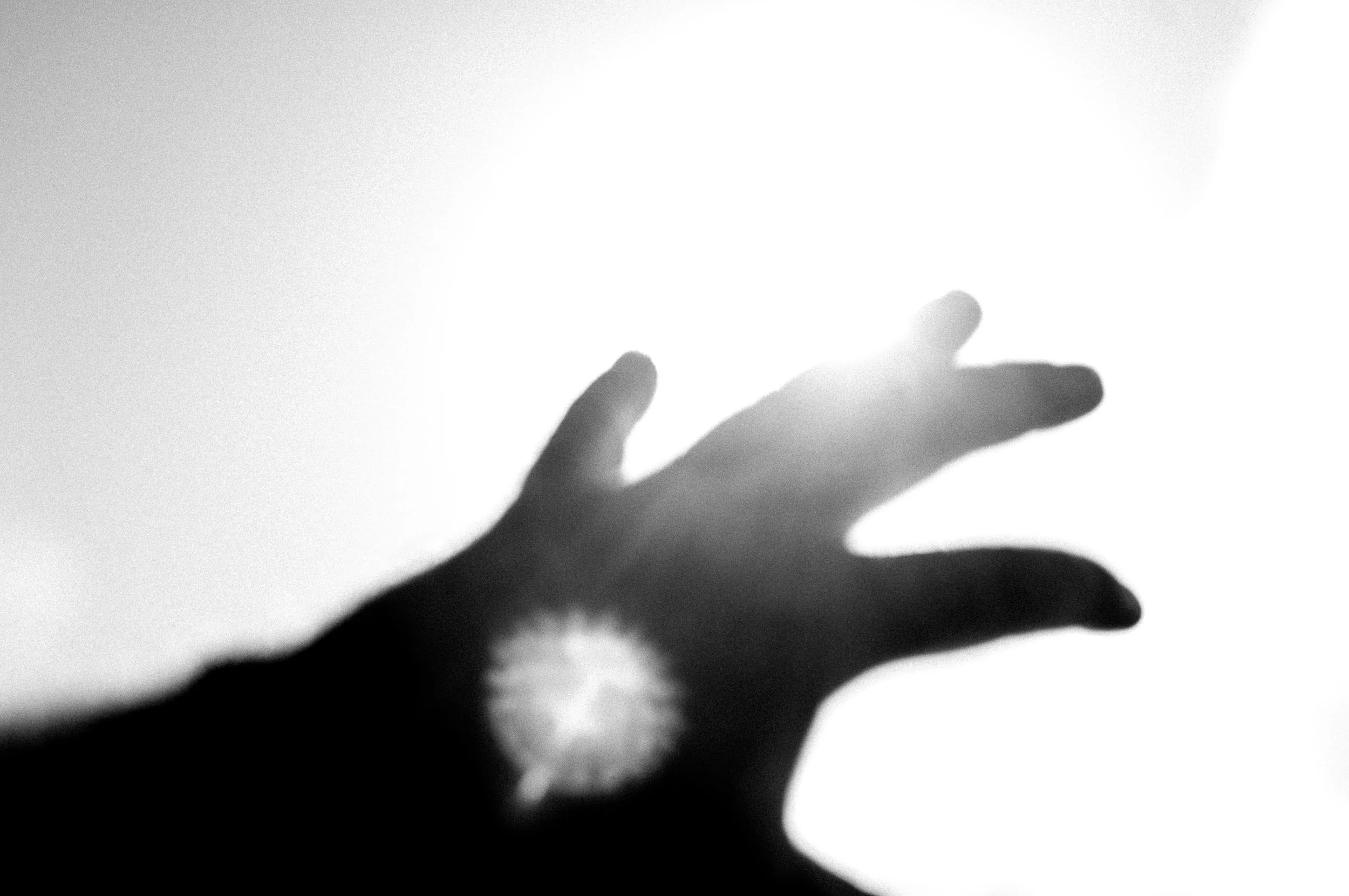 Slawo Urban Photographer - Reaching for the Sun -4.jpg