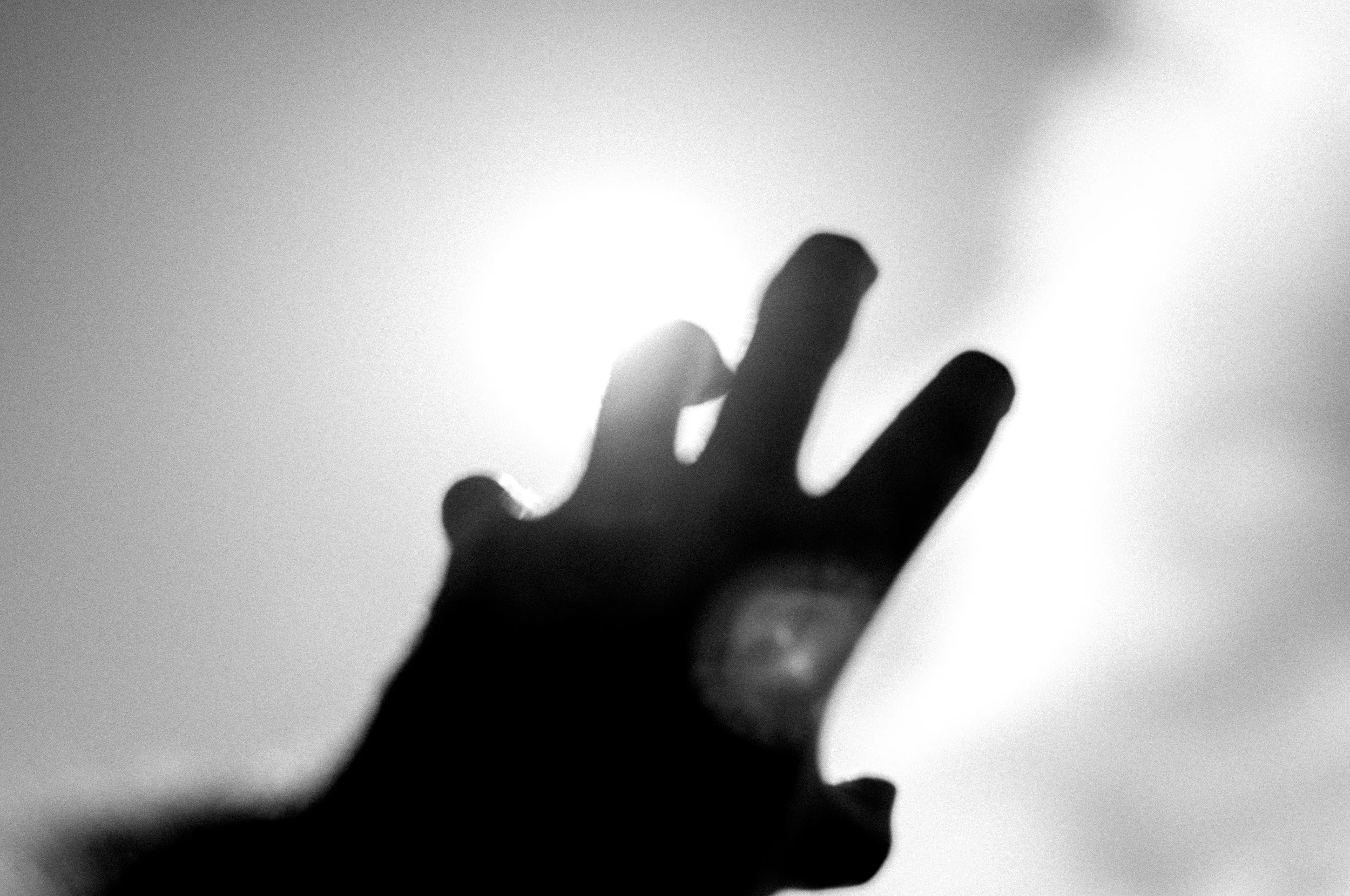 Slawo Urban Photographer - Reaching for the Sun -5.jpg