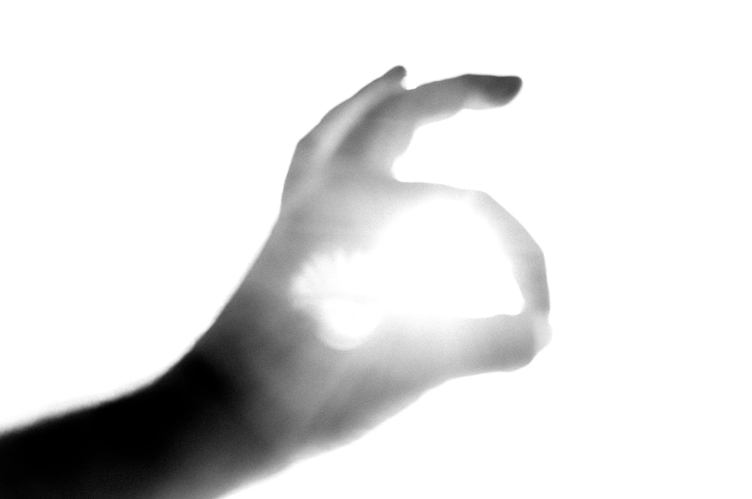 Slawo Urban Photographer - Reaching for the Sun -7.jpg