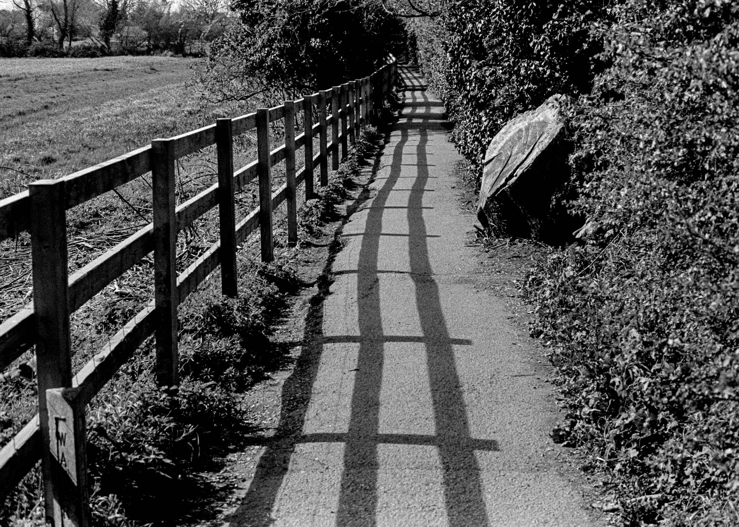 Slawo Urban Photographer - The Same Path-7.jpg