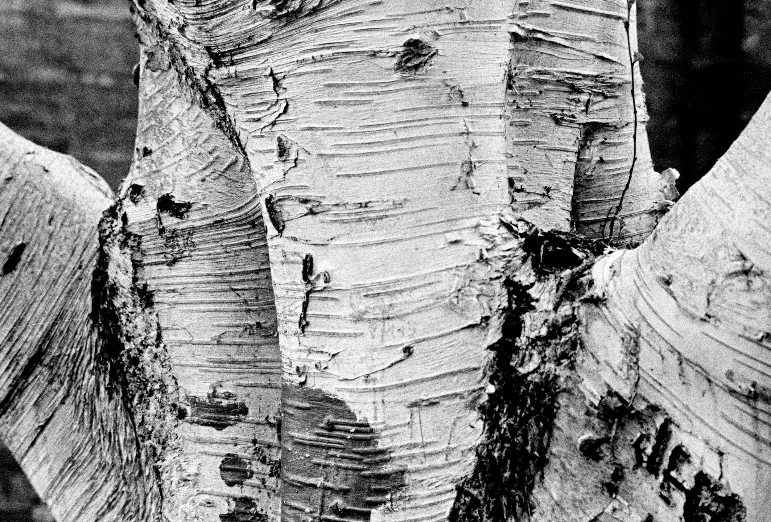 Slawo Urban Photographer - The Same Path-12.jpg