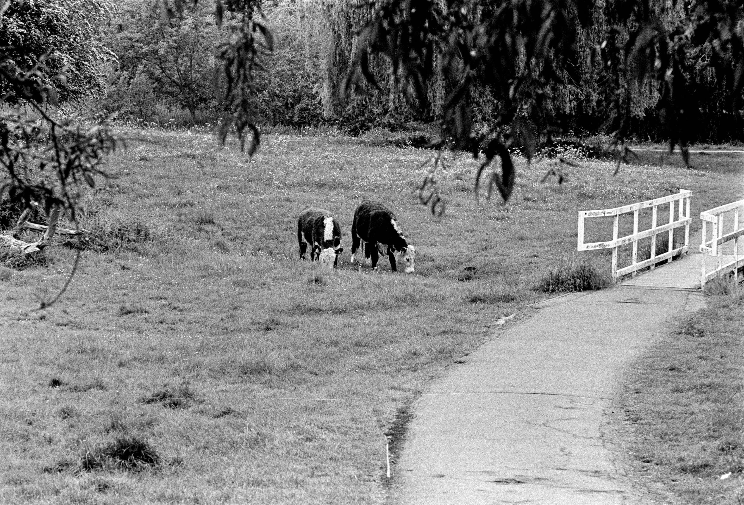 Slawo Urban Photographer - The Same Path-13.jpg