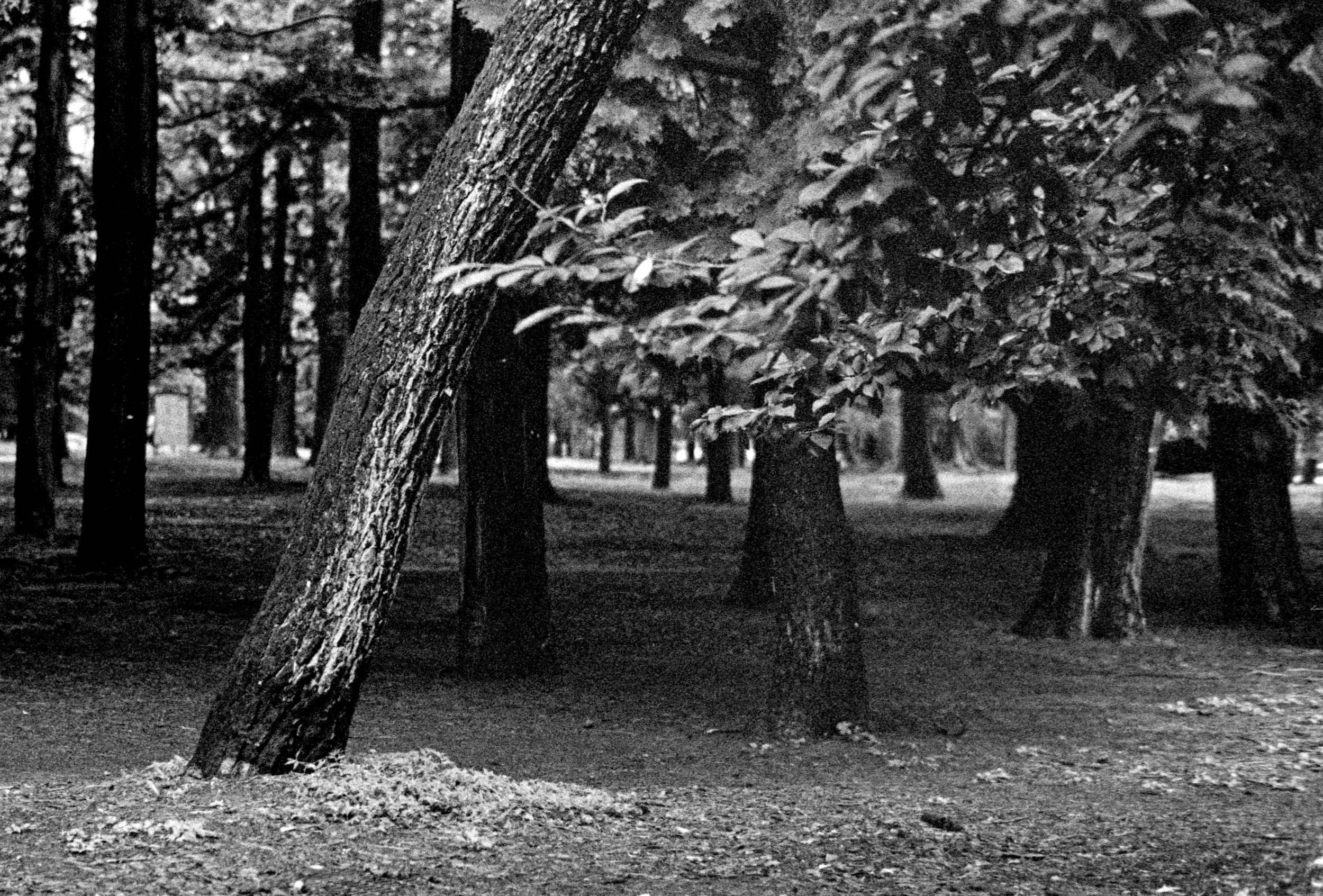 Slawo Urban Photographer - In Silence-4.jpg