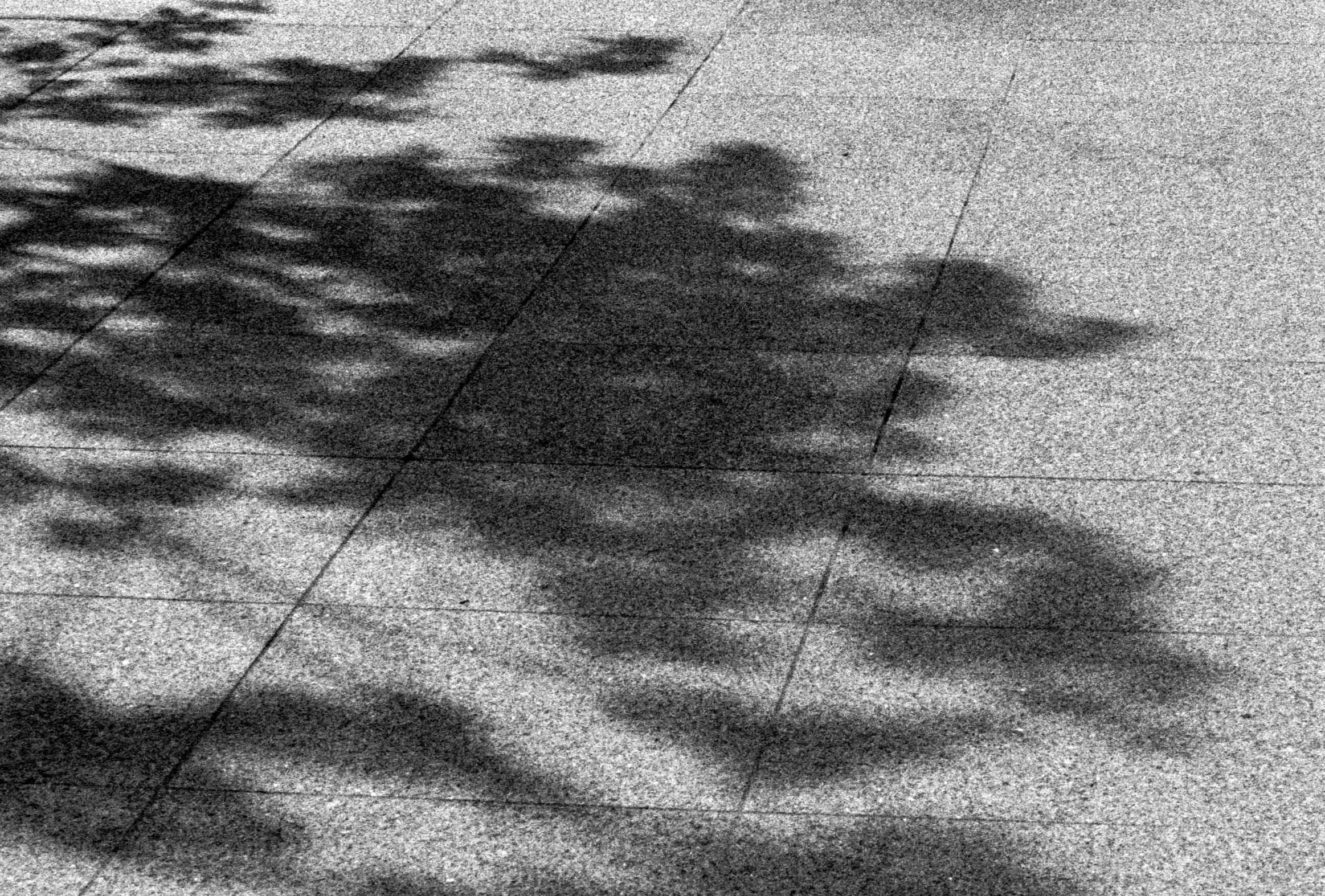 Slawo Urban Photographer - In Silence-9.jpg