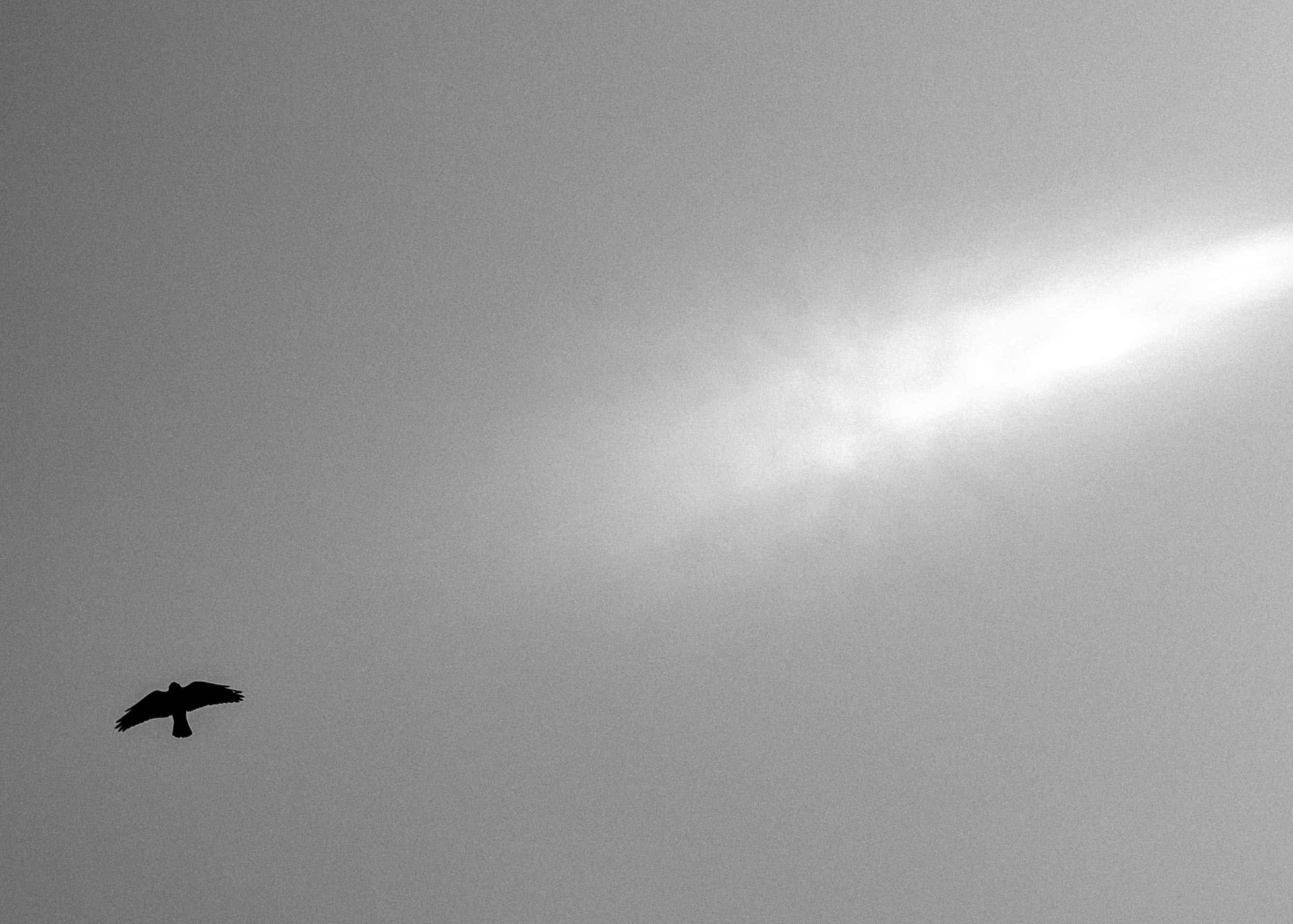 Slawo Urban Photographer - all rights reserved-4.jpg