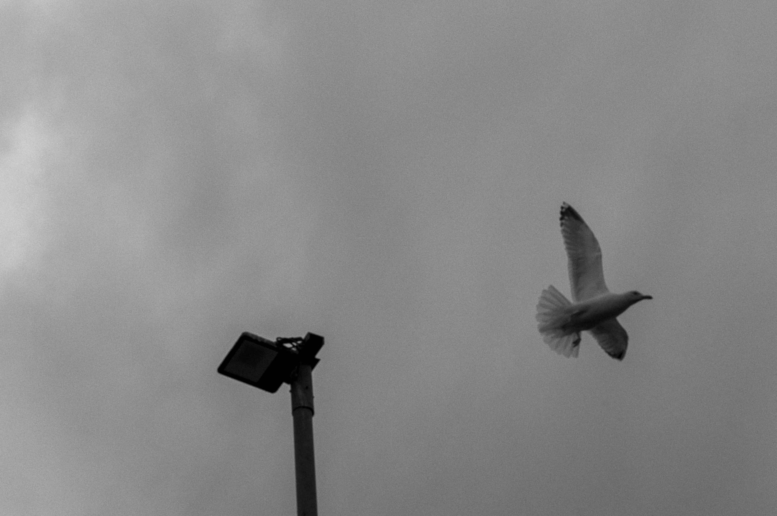 Slawo Urban Photographer - all rights reserved-9.jpg