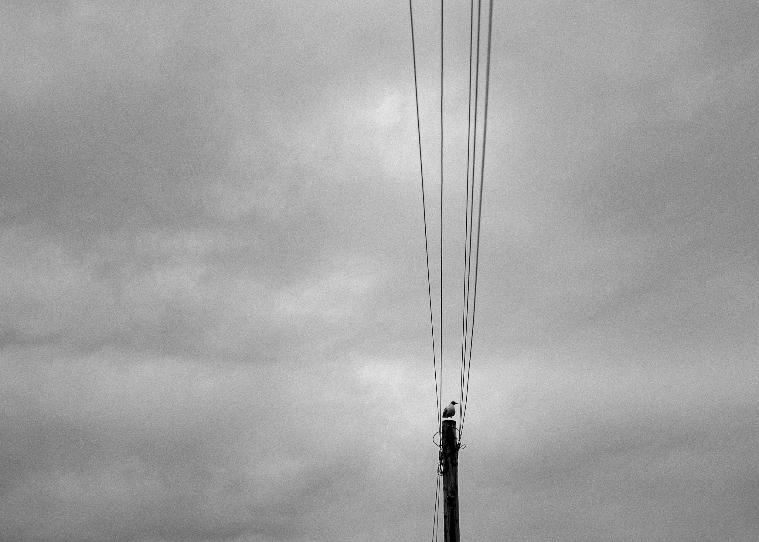 Slawo Urban Photographer - all rights reserved-7.jpg
