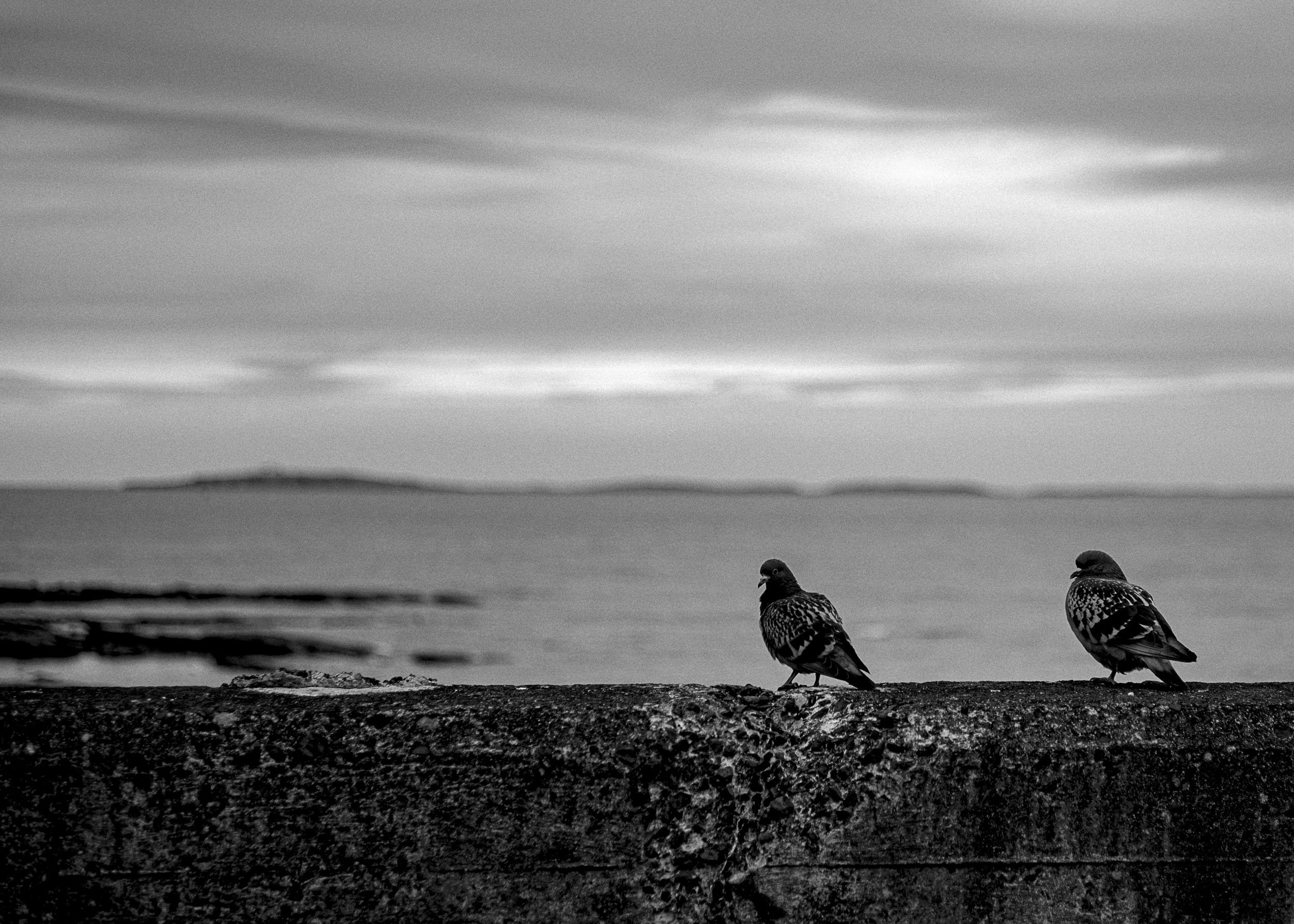 Slawo Urban Photographer - all rights reserved-6.jpg