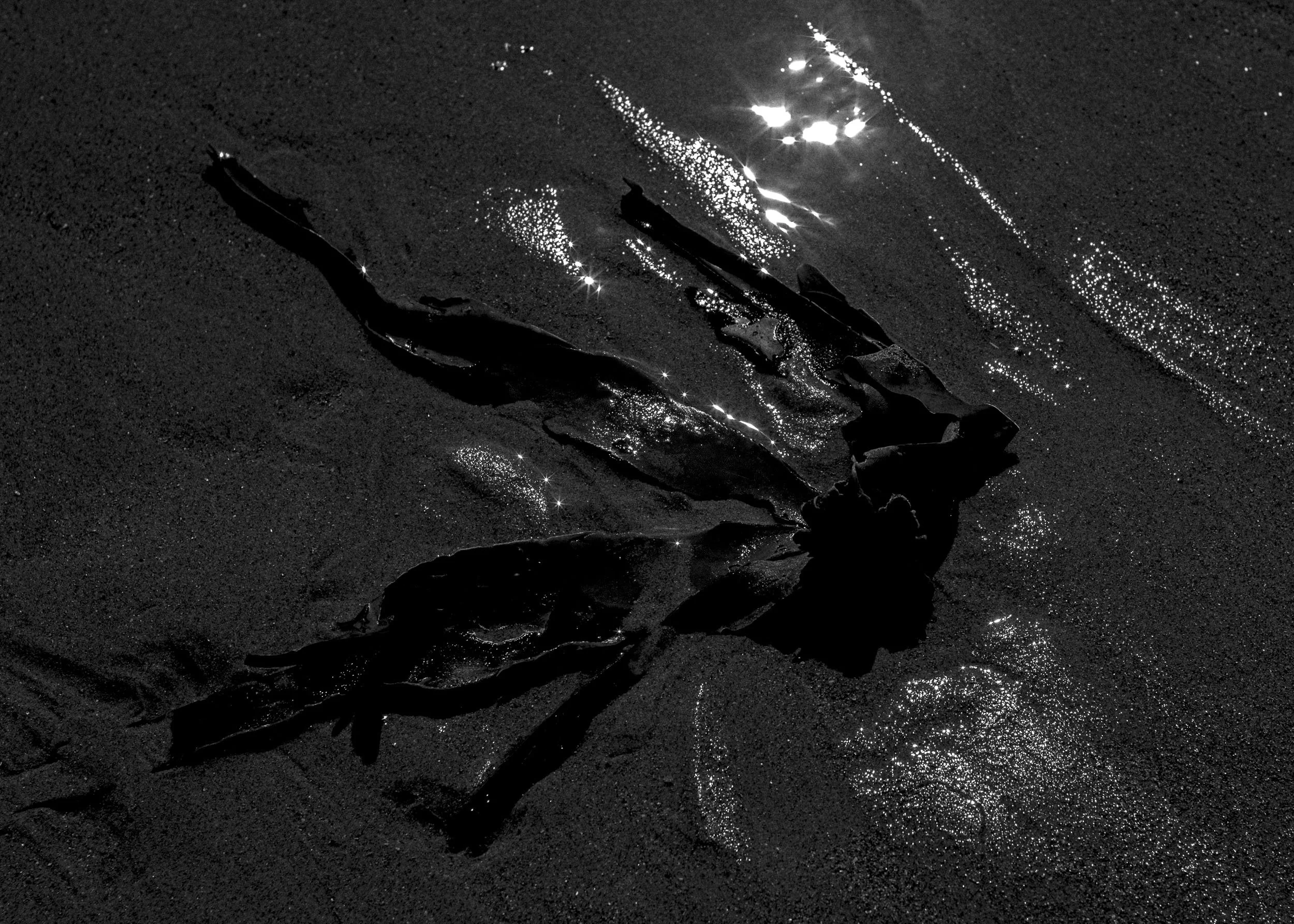 Slawo Urban Photographer - all rights reserved-25.jpg