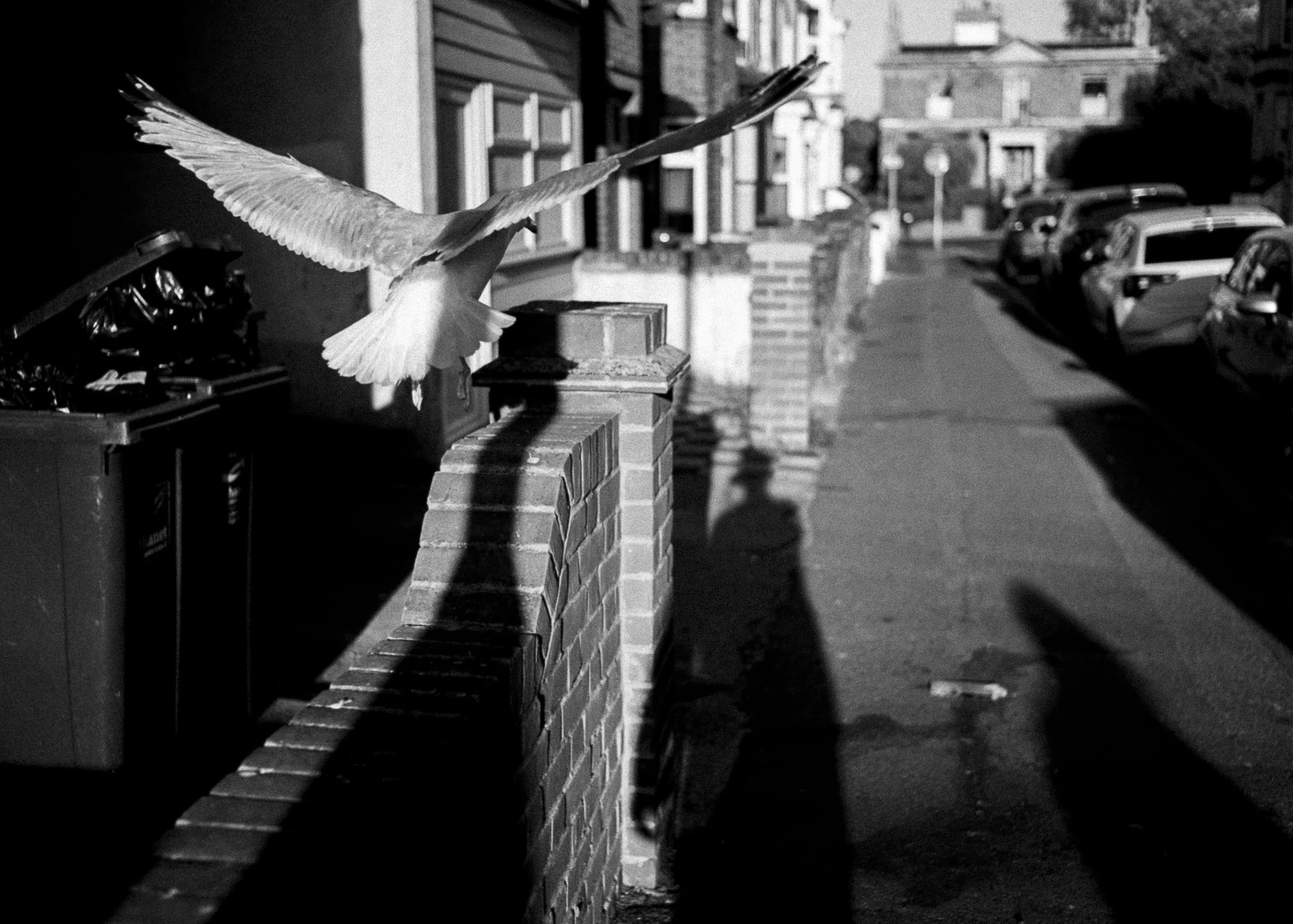 Slawo Urban Photographer - all rights reserved-4.jpg
