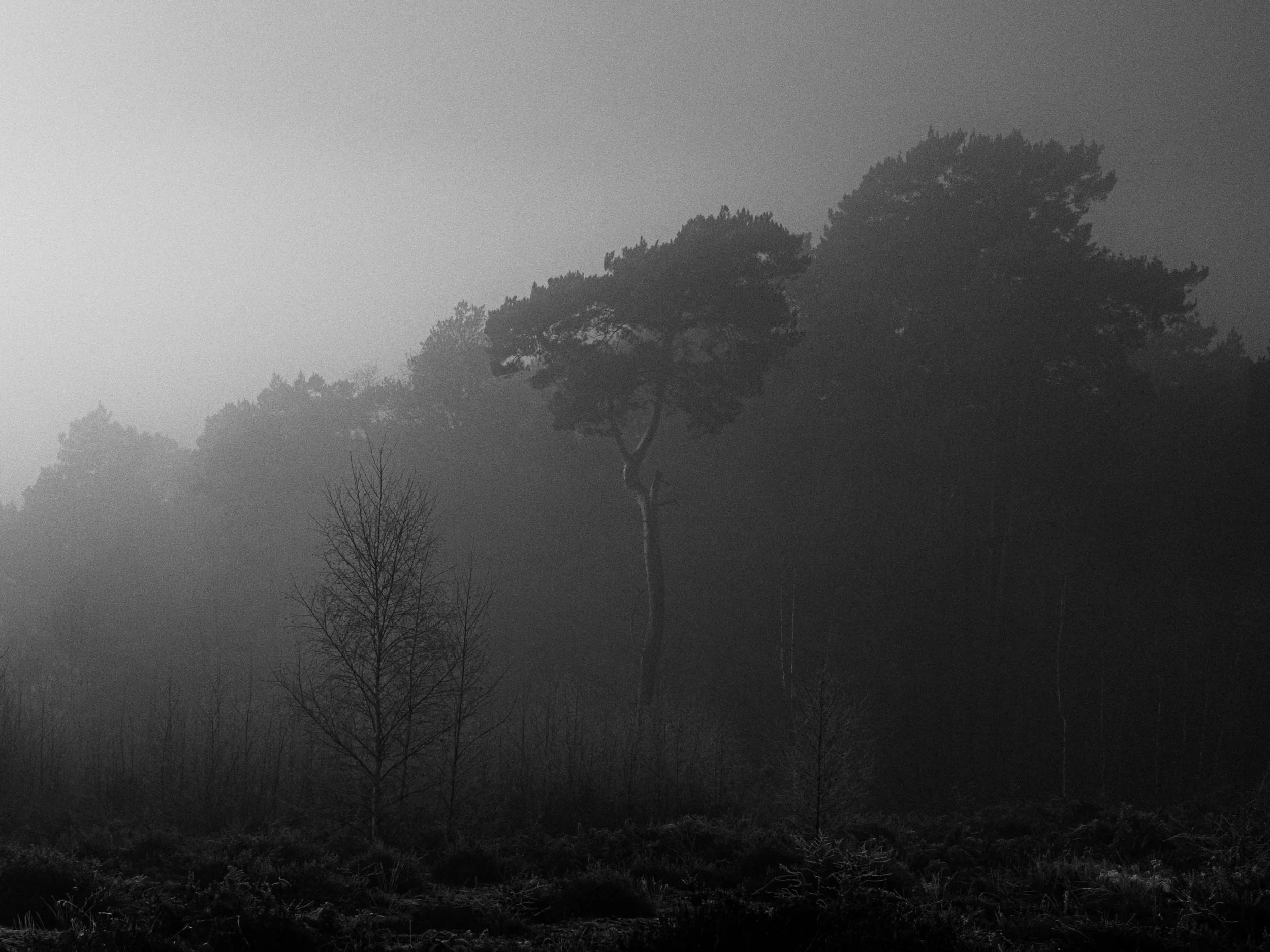 Slawo Urban Photographer - Leica Photographer-32.jpg