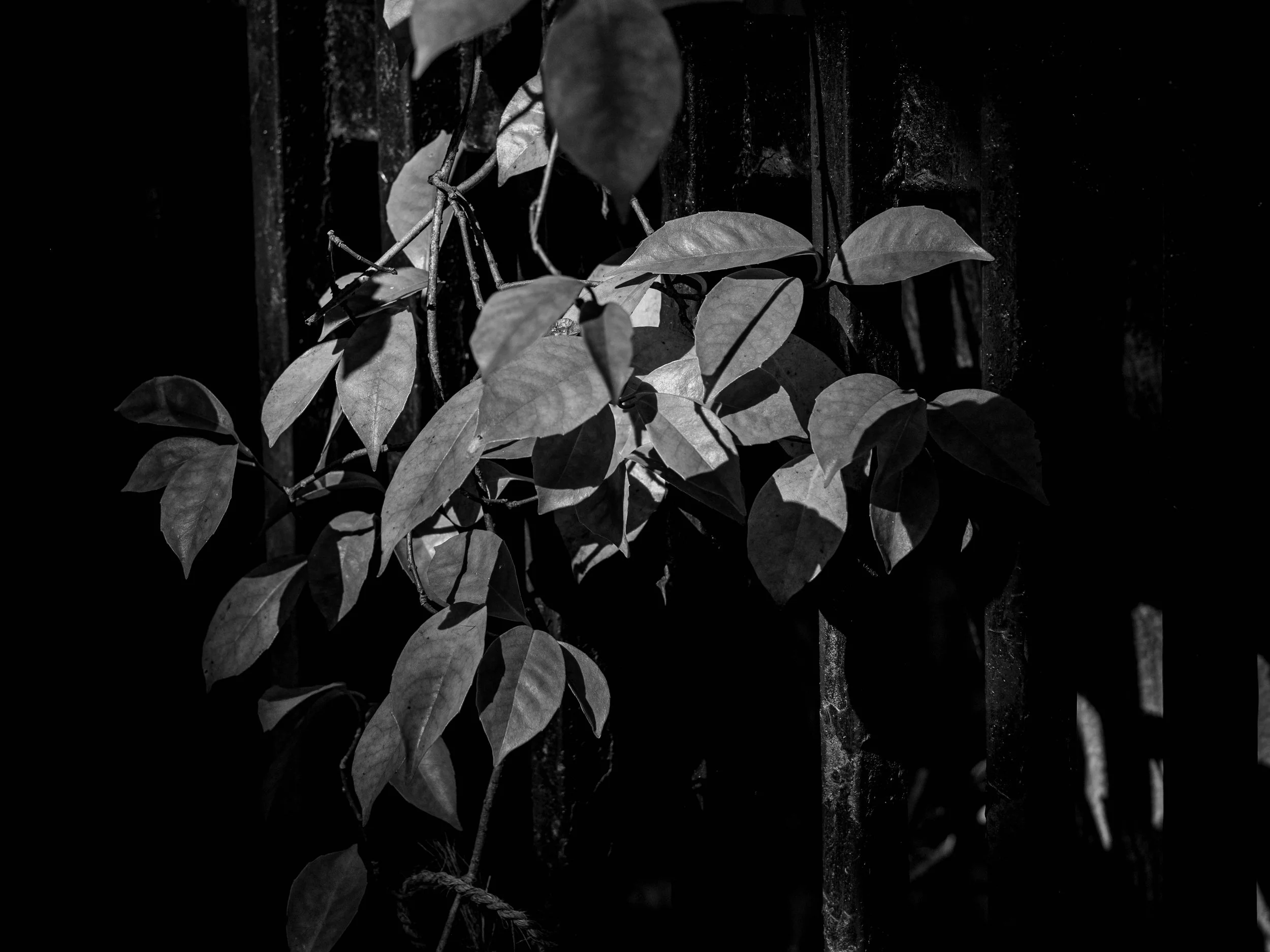 A One-Day Photography Practice in Seoul, 26th May 2026