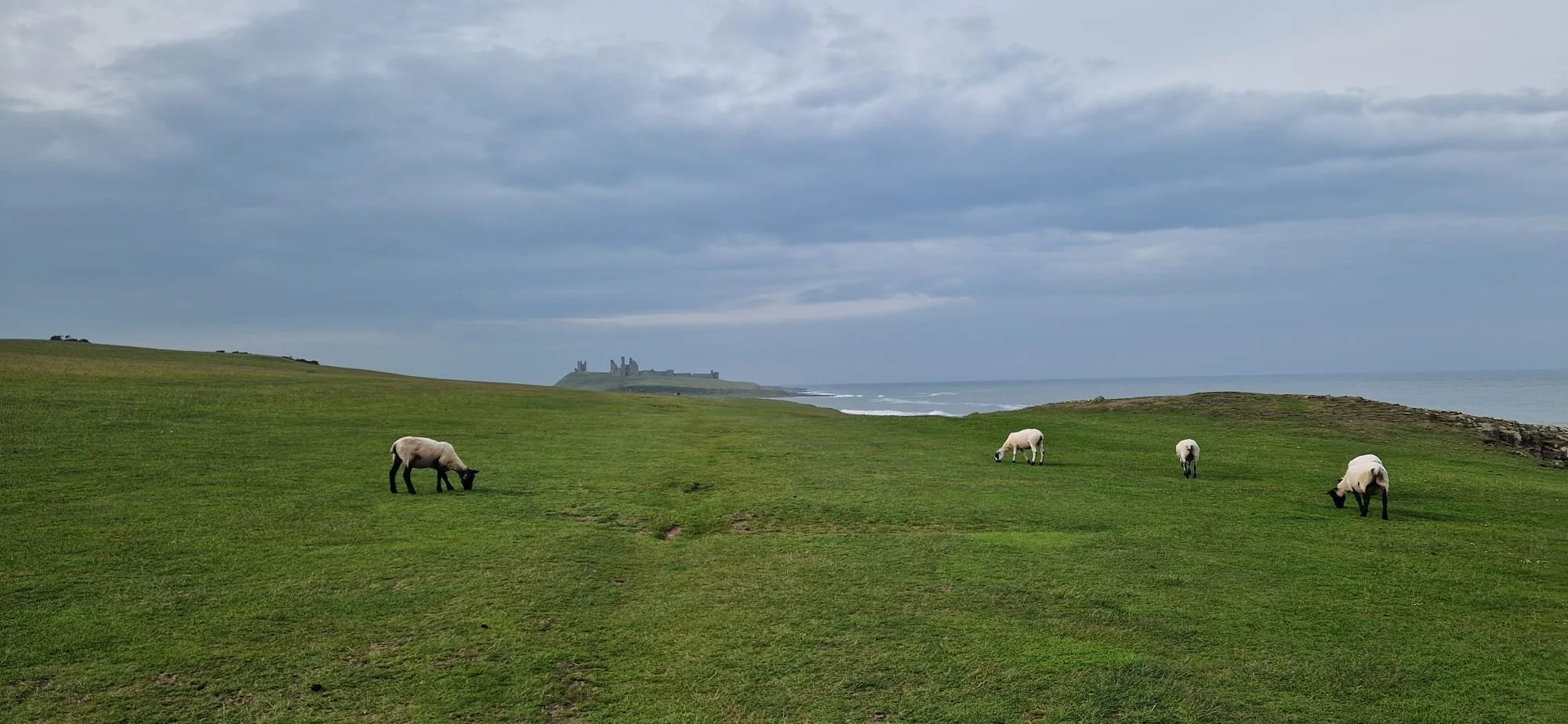 Coast as inspiration 2
