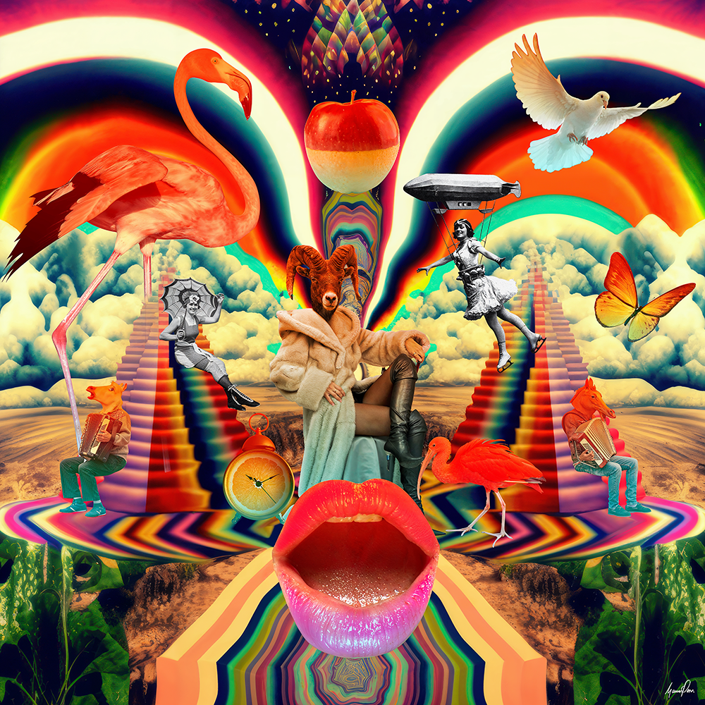 collage Psychedelic signed web.png