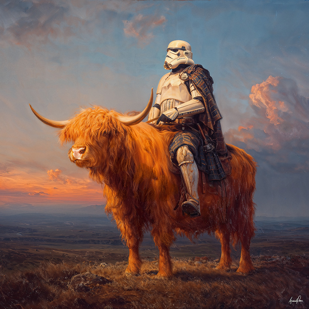 Highland Trooper at Sunset