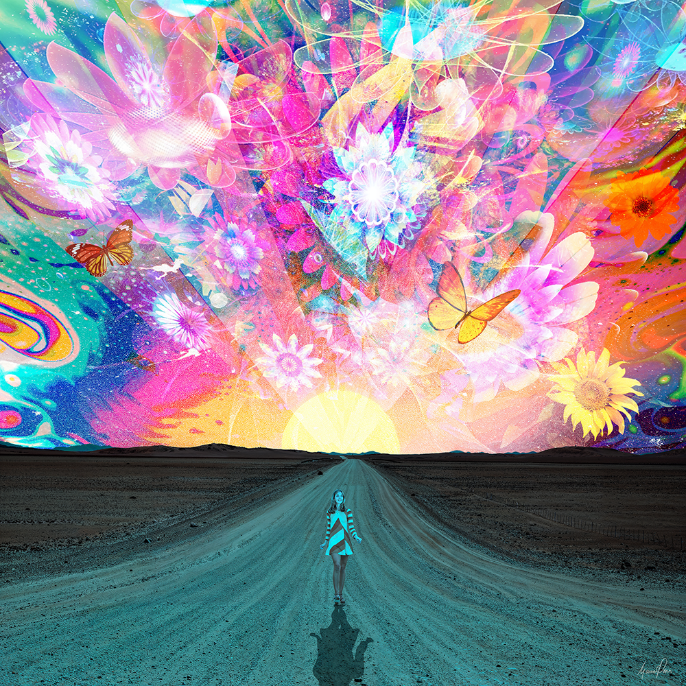 ACID SKYsigned web.png