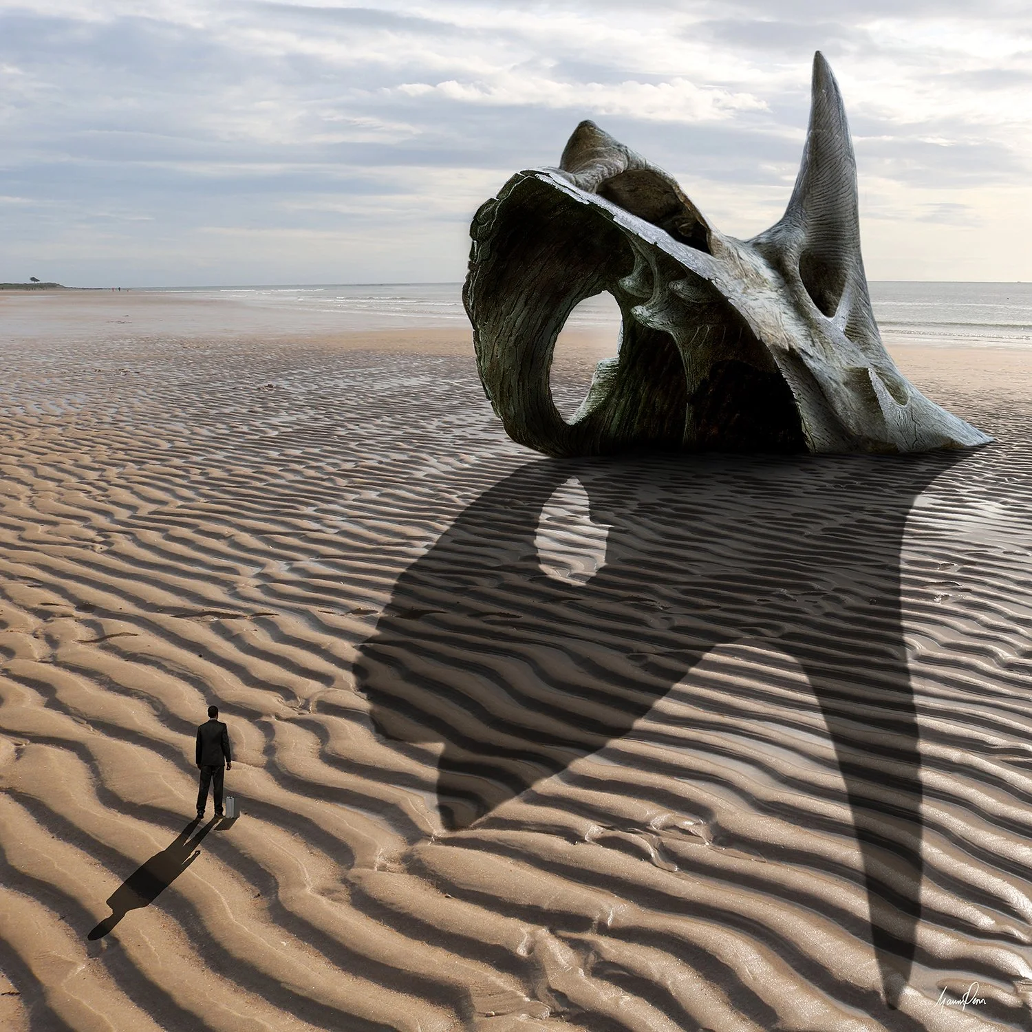 Beached Rhino Horn.jpg