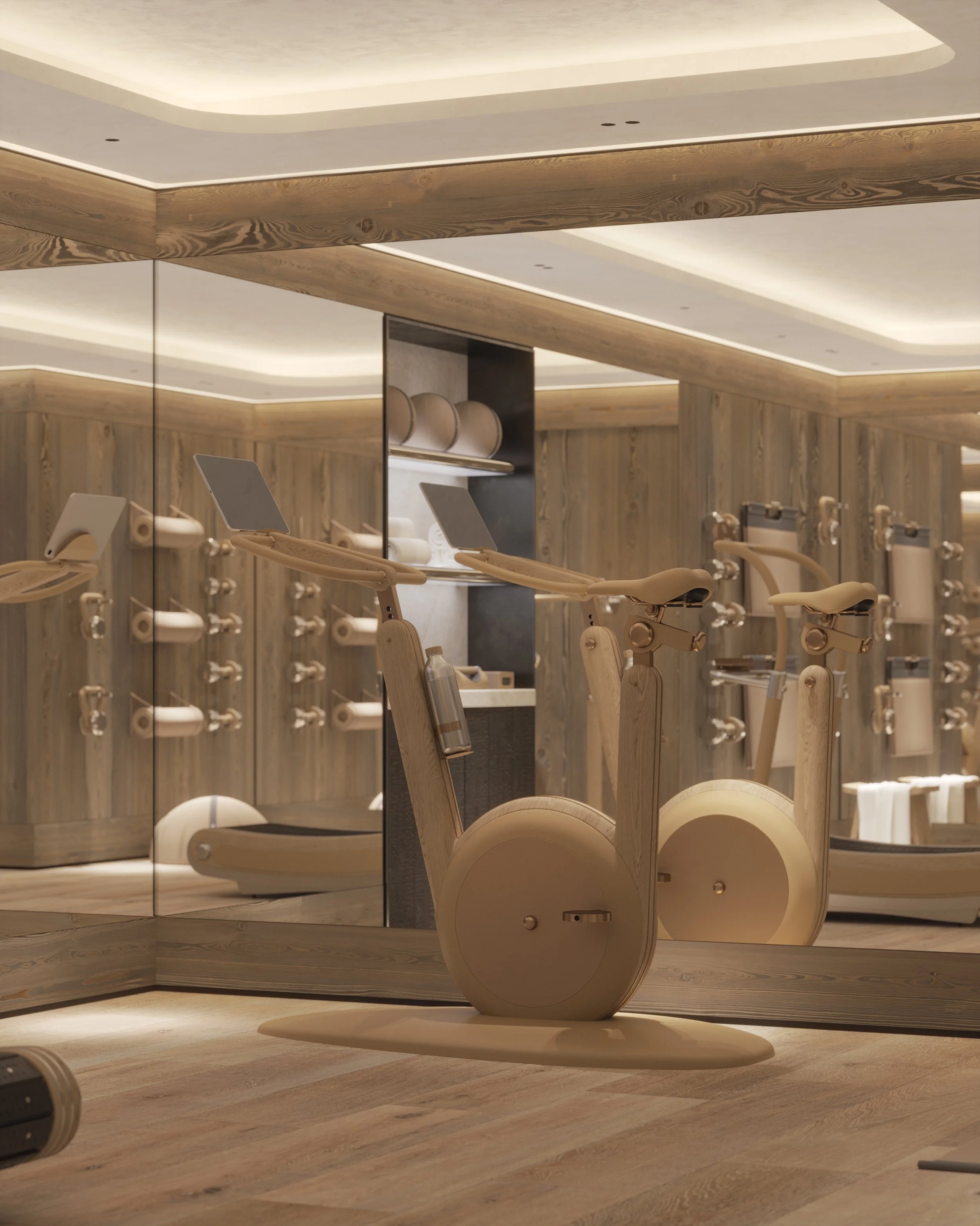 Ikone_Chalet Origine_APS 01_08.Fitness_Vue 03.jpg