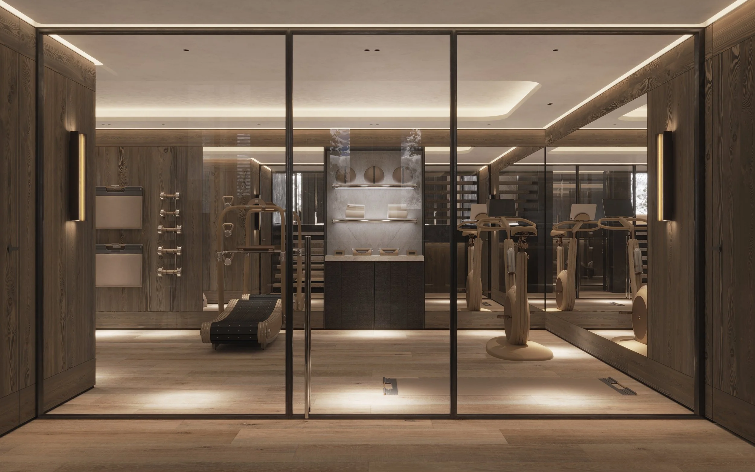 Ikone_Chalet Origine_APS 01_08.Fitness_Vue 01.jpg