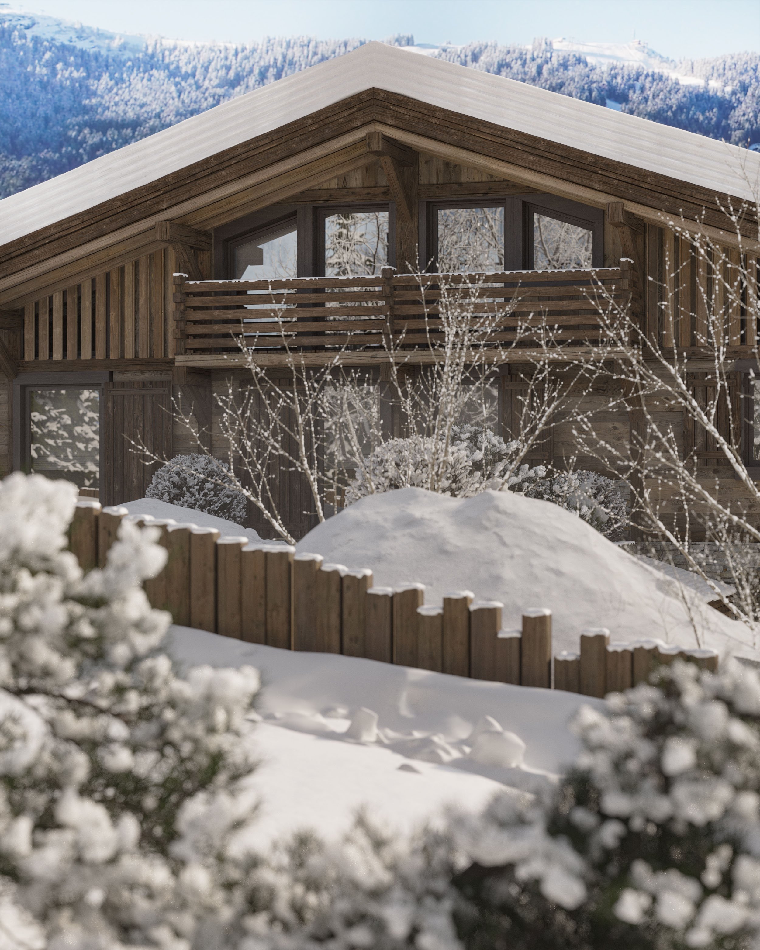 Ikone_Chalet Millenium_00.Volet Exterieur_Vue 04.jpg