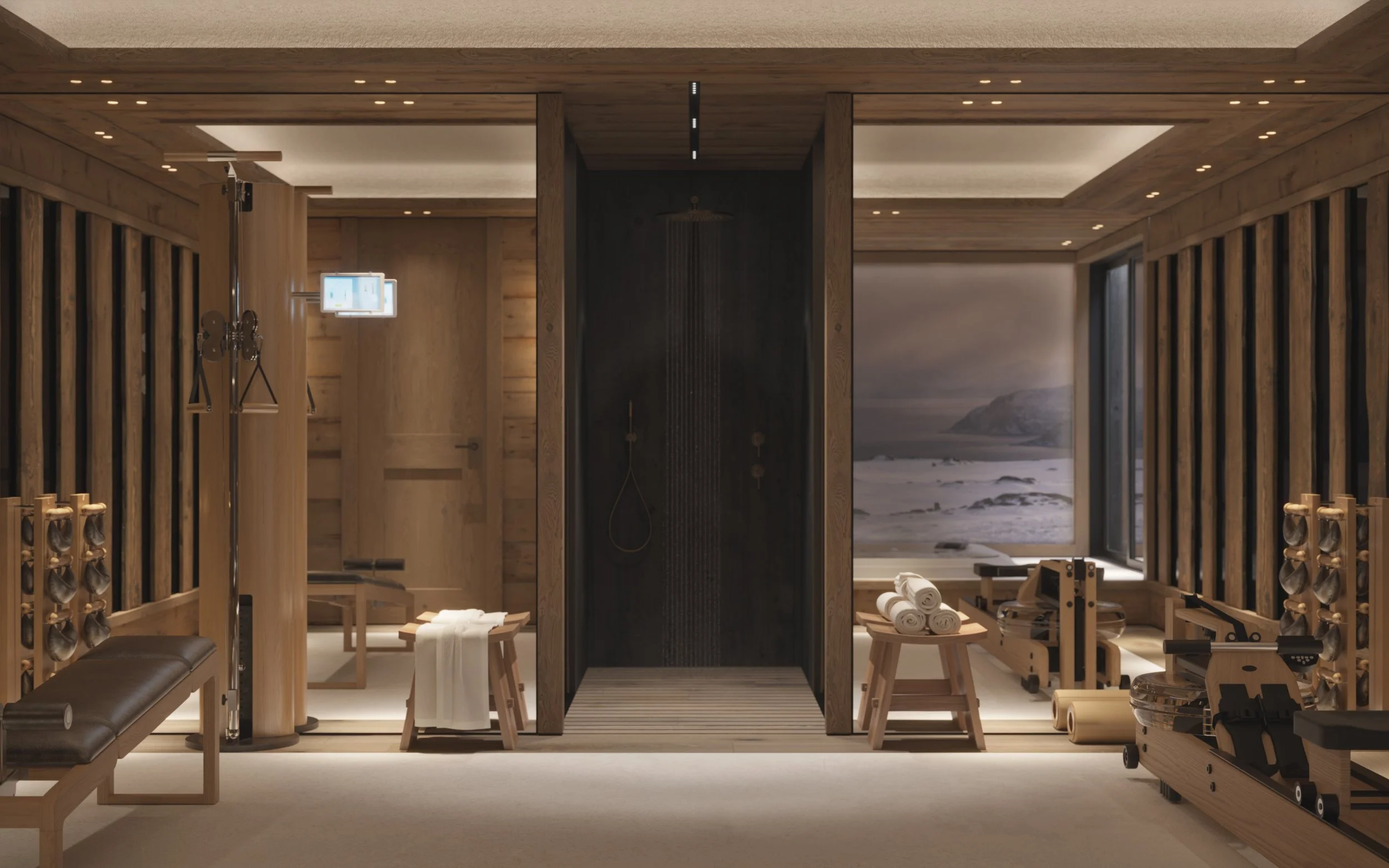 IKONE_Chalet In Situ_06_Fitness_Vue 02.jpg