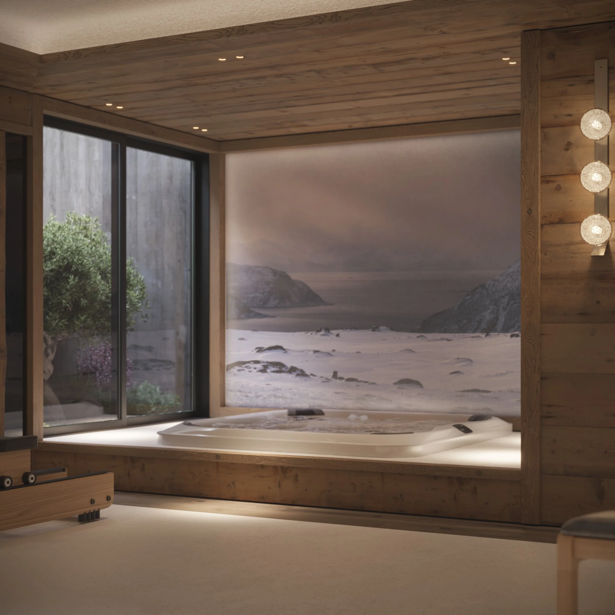 IKONE_Chalet In Situ_06_Fitness_Vue 03.jpg