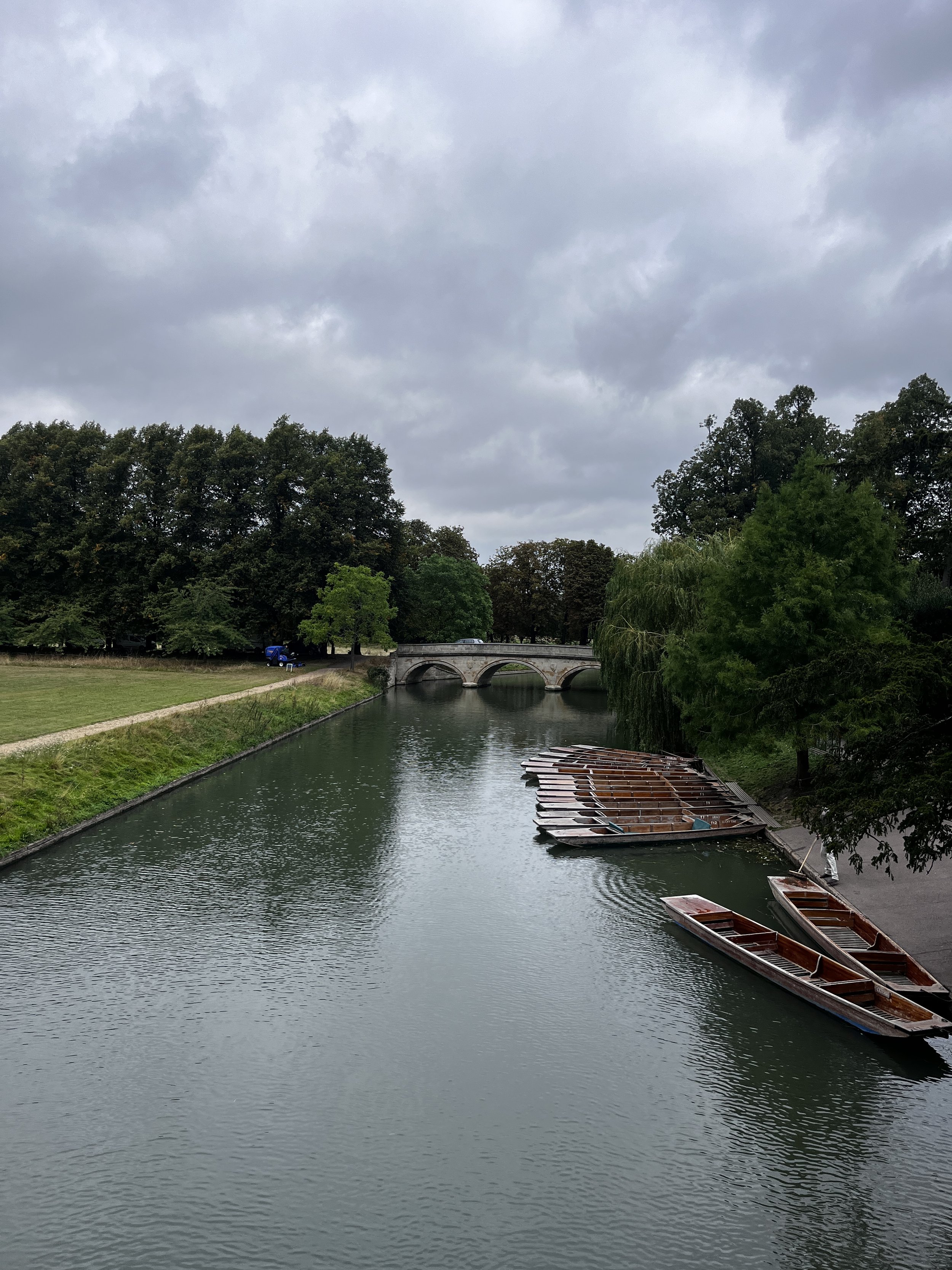 IMG_9016.jpeg