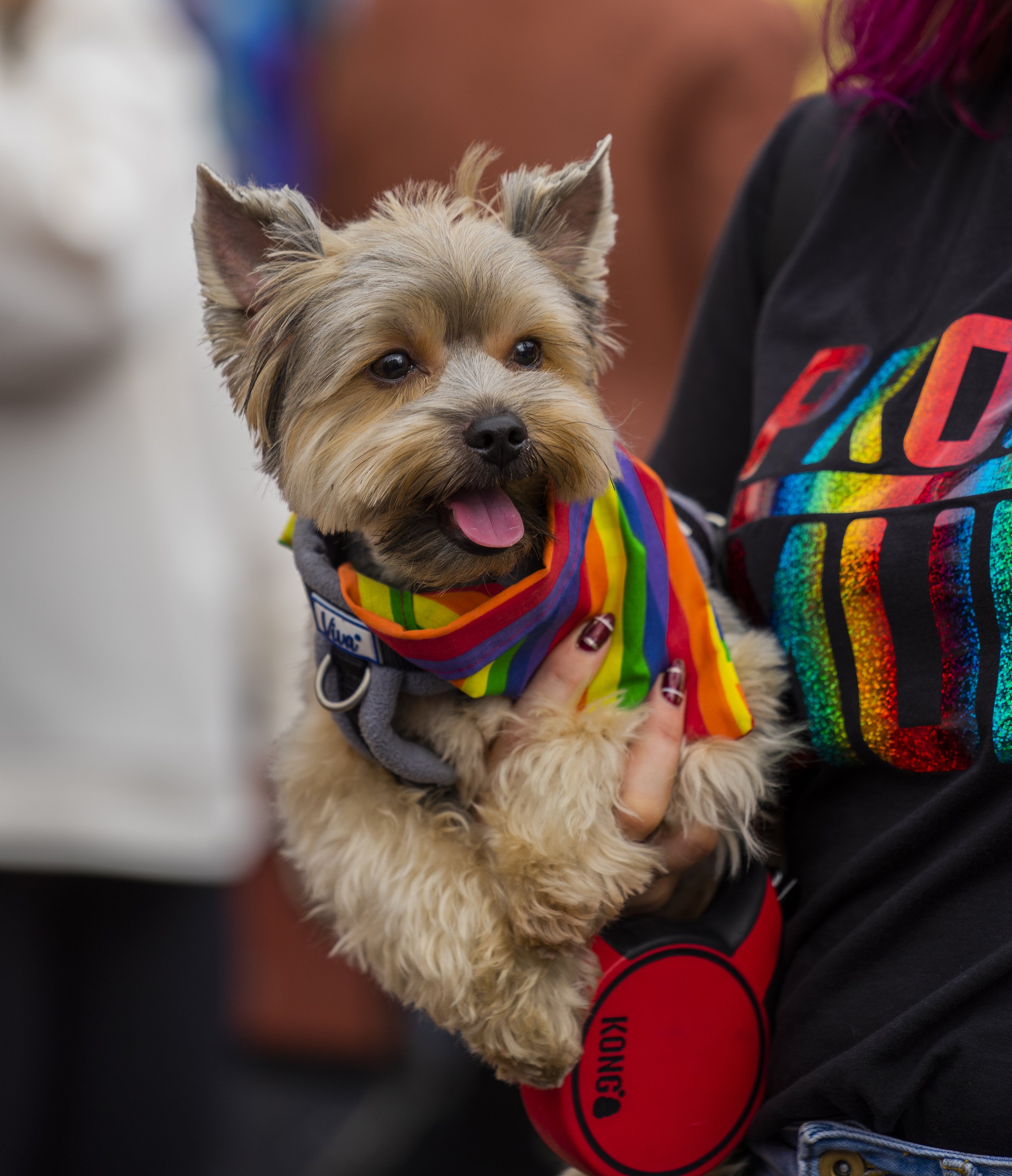 Omagh Pride Aidan McAleer-36.jpg