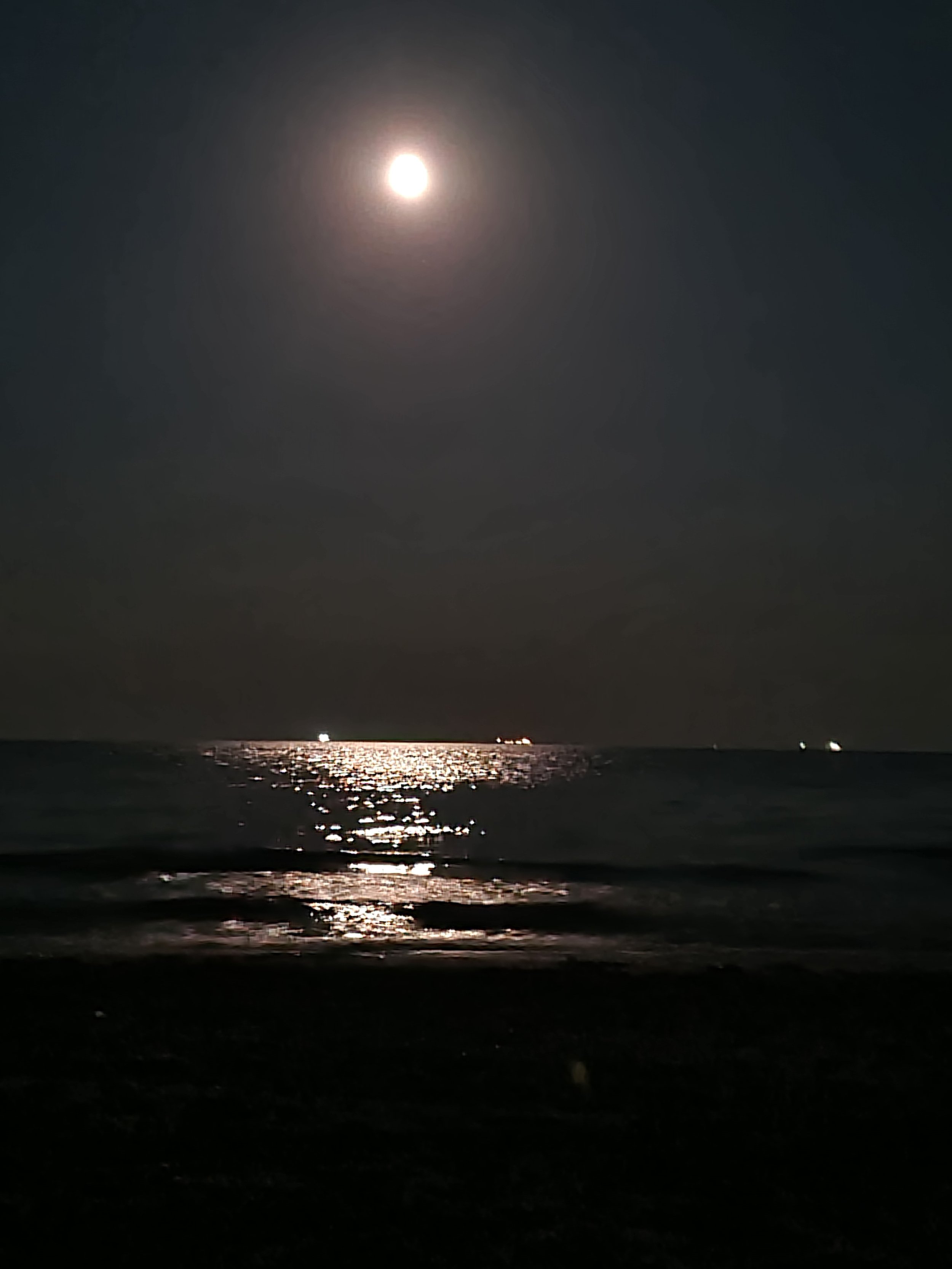 20220717_010825.jpg