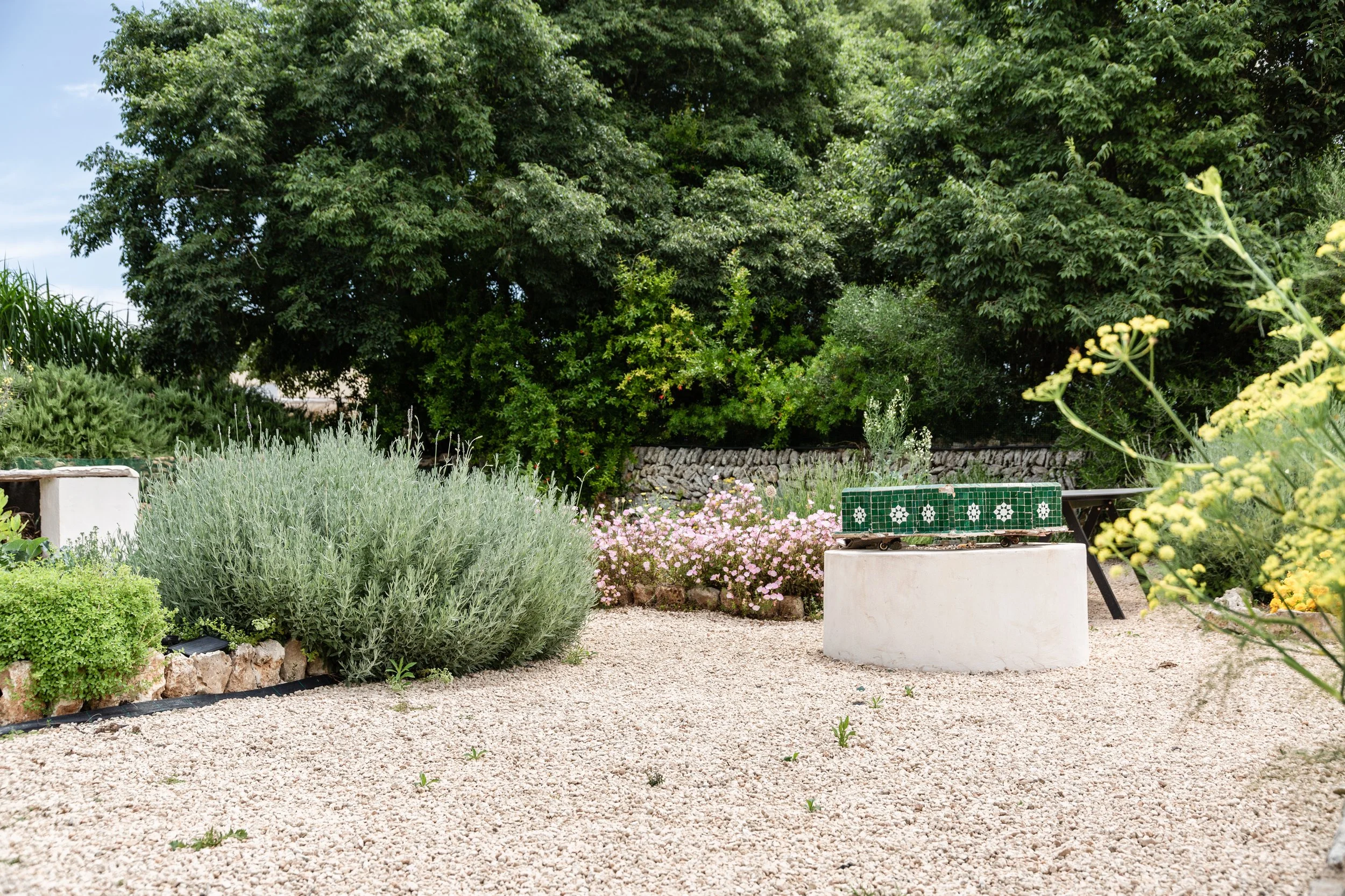 Farming Concept at La Finca