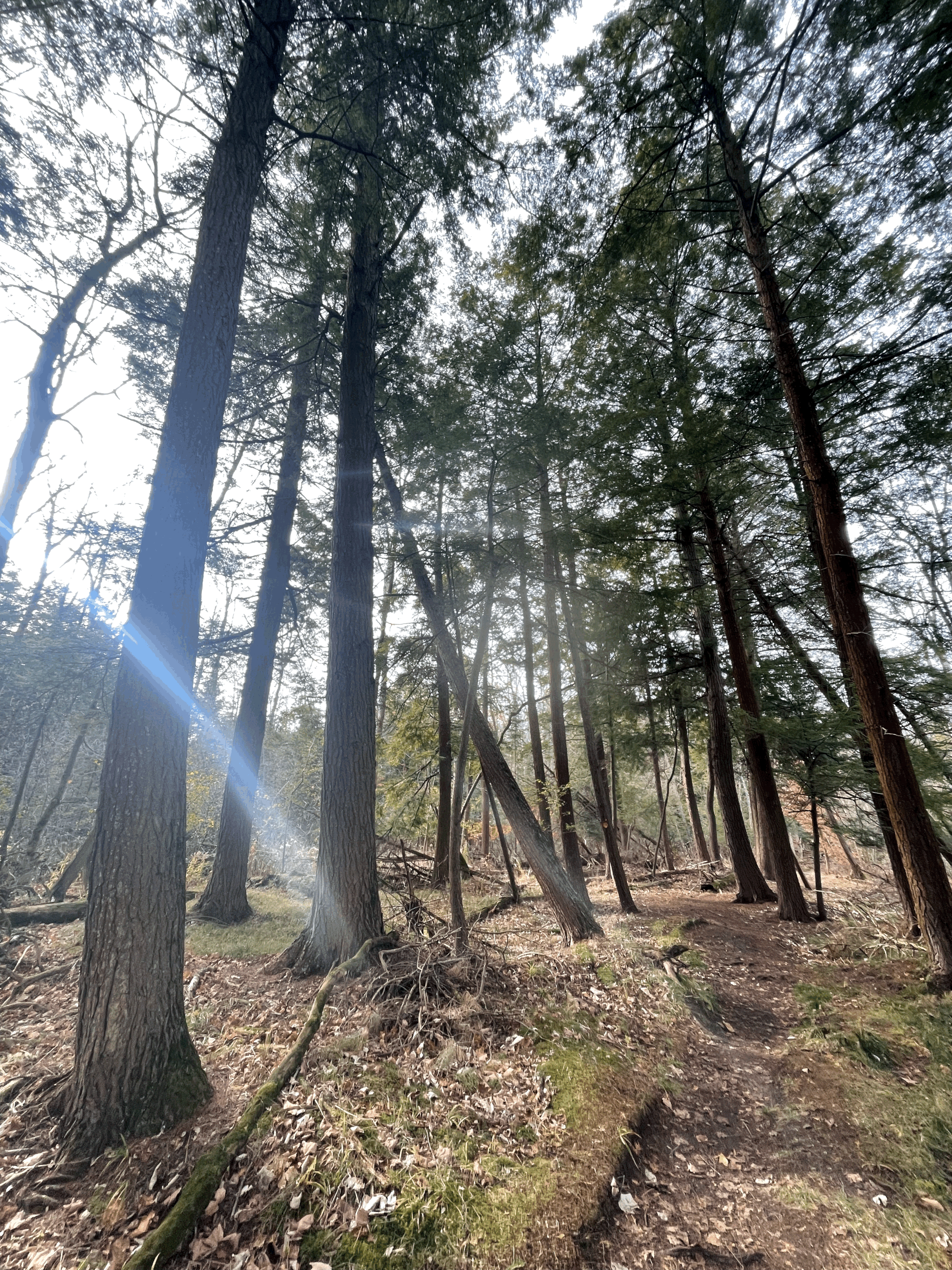 Well-Being Shouldn’t be hard: What if the only problem is the one you create by fighting with yourself?&nbsp;