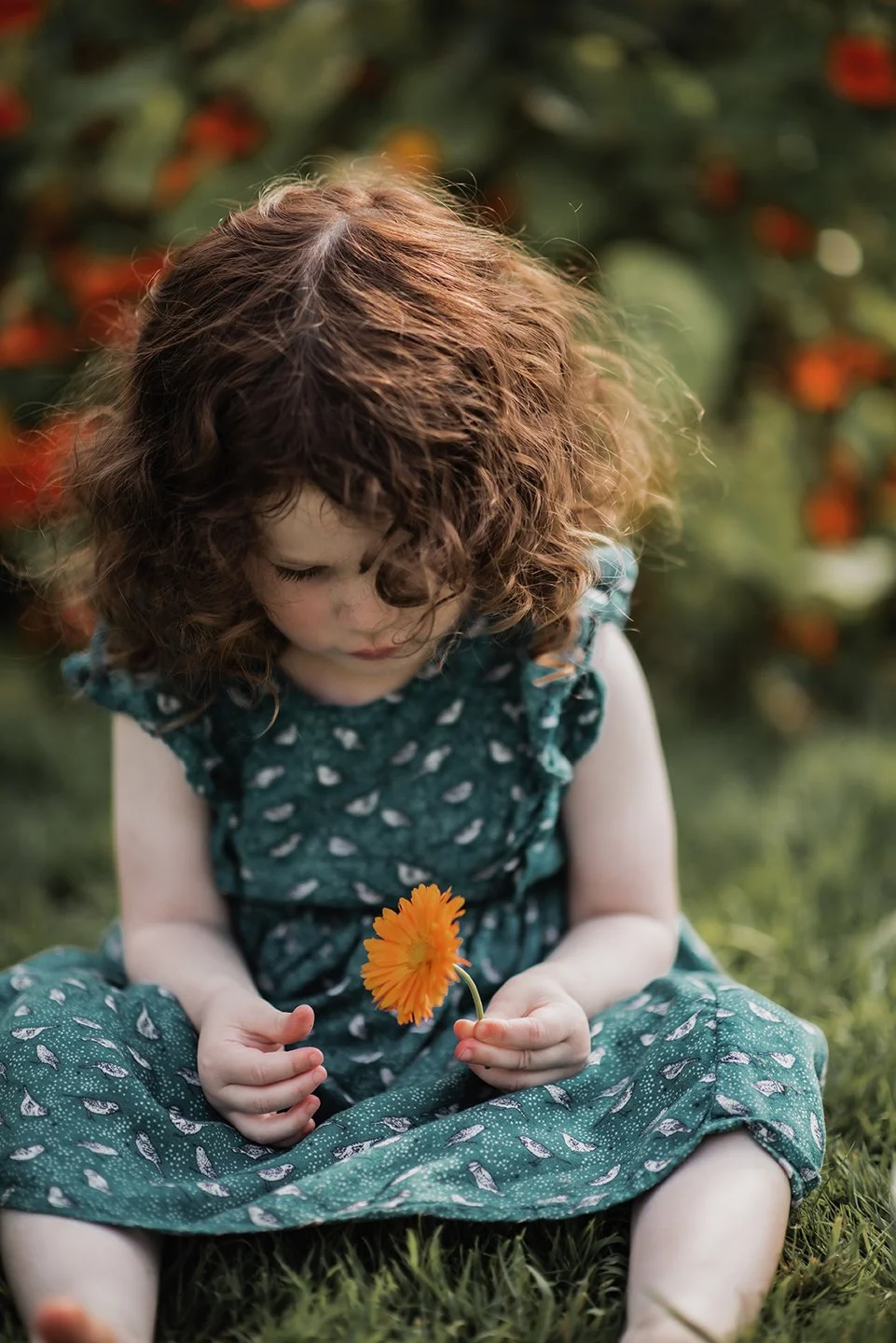 Family photographer North Devon _0012.jpg