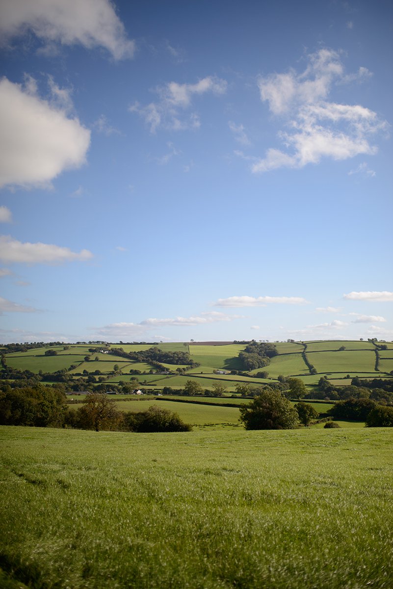 devon_0025.jpg