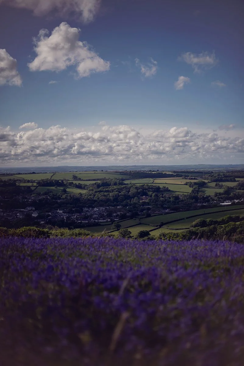 Dartmoor Photographer .jpg
