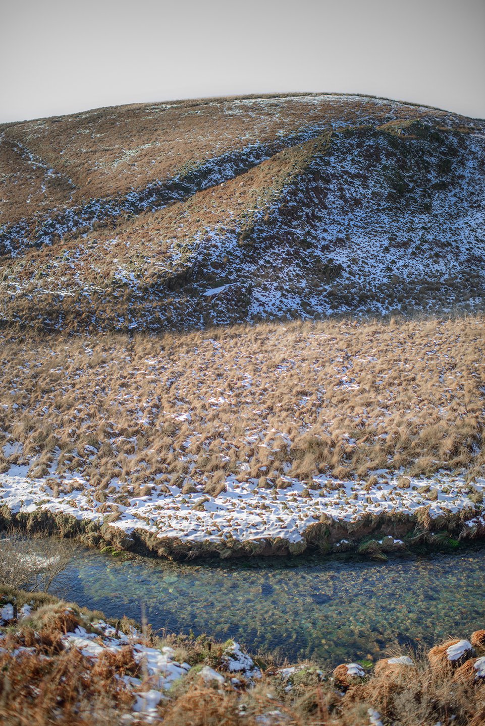 Photographer-Exmoor.jpg