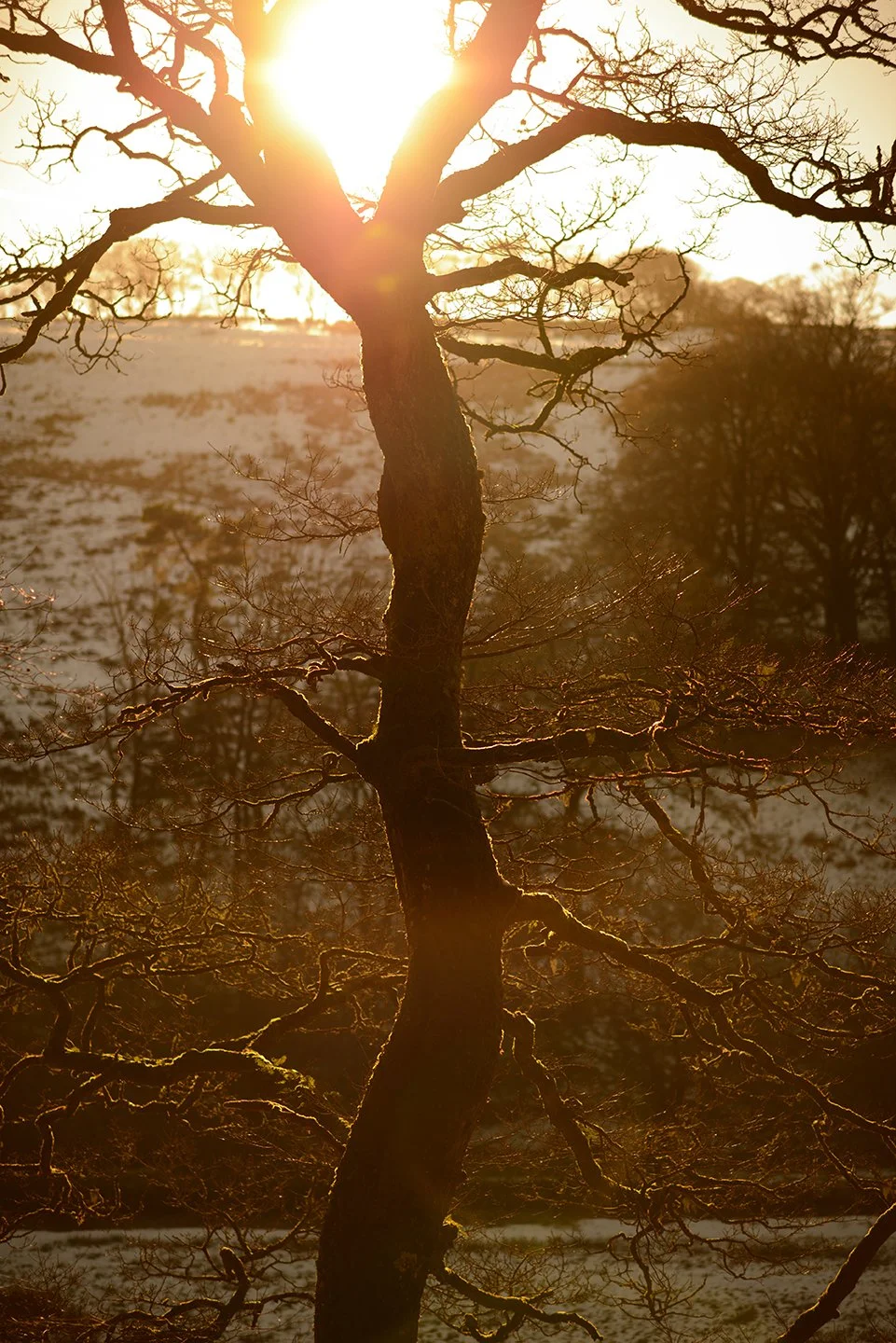 Exmoor-Photographer--78.jpg