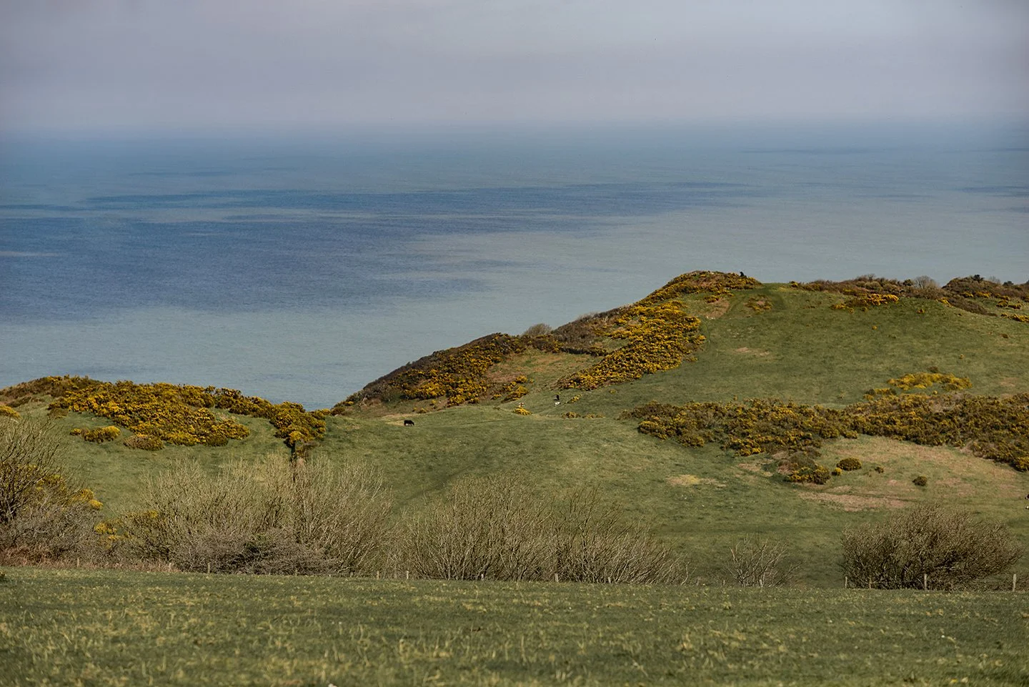 North-Devon-wedding-Photographer-42.jpg
