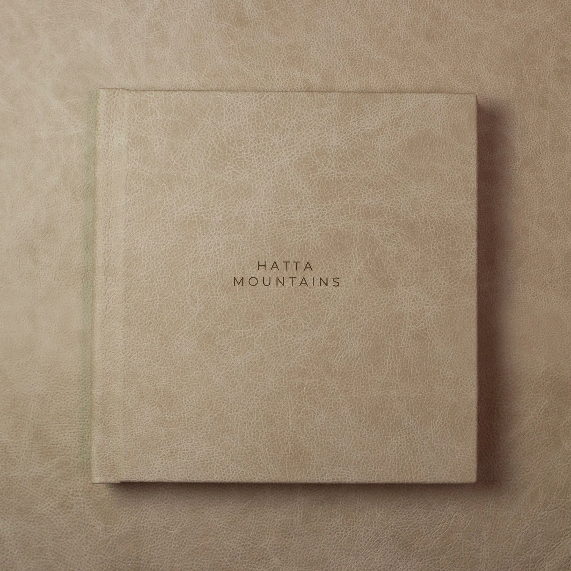 Fine_Art_Book_Sandstone_Montserrat_Engraving.jpg