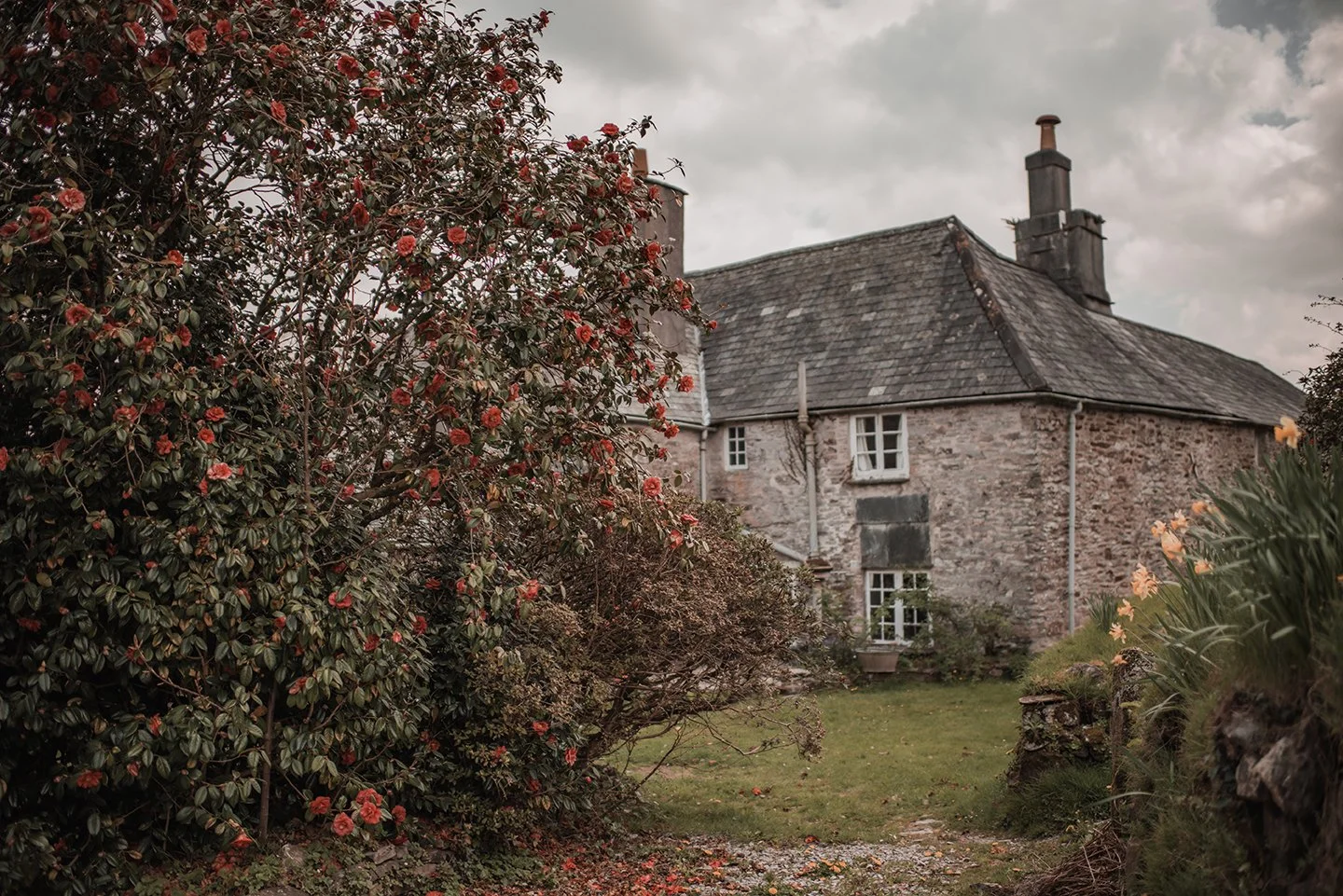 Upcott-House-3.jpg