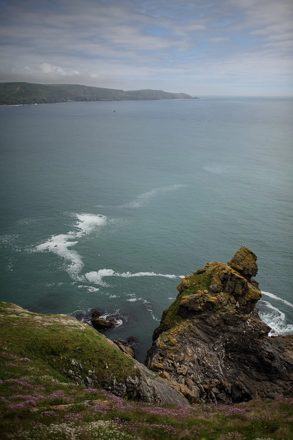 Devon-319.jpg
