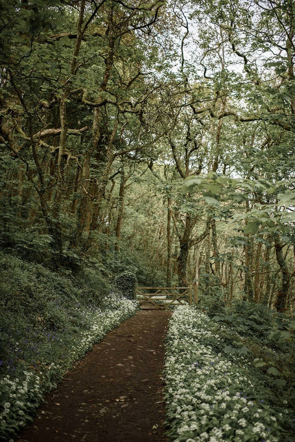 Devon-345.jpg