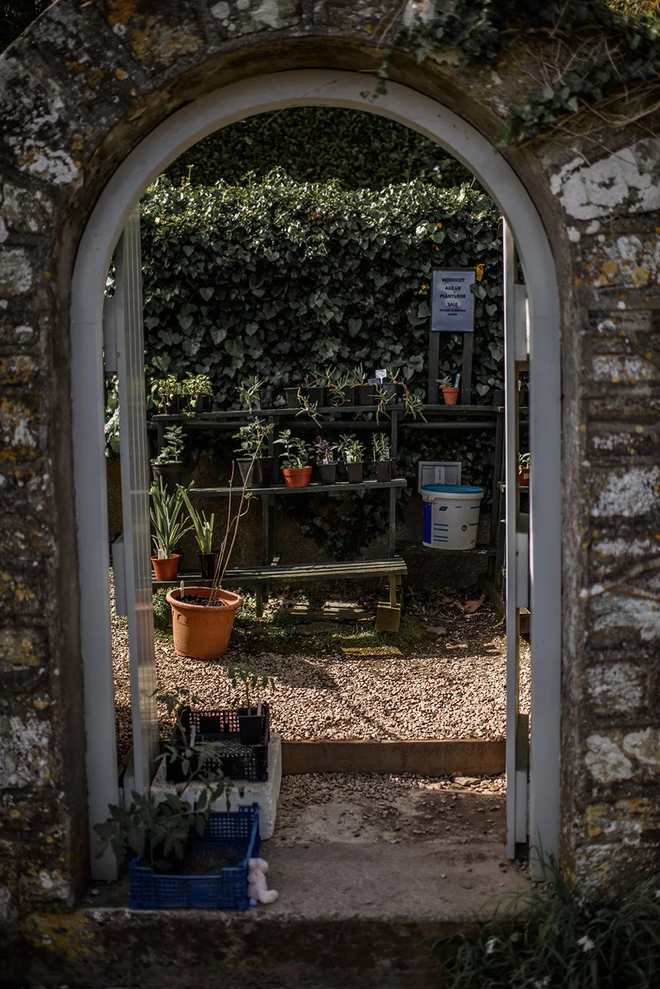 Devon-416.jpg