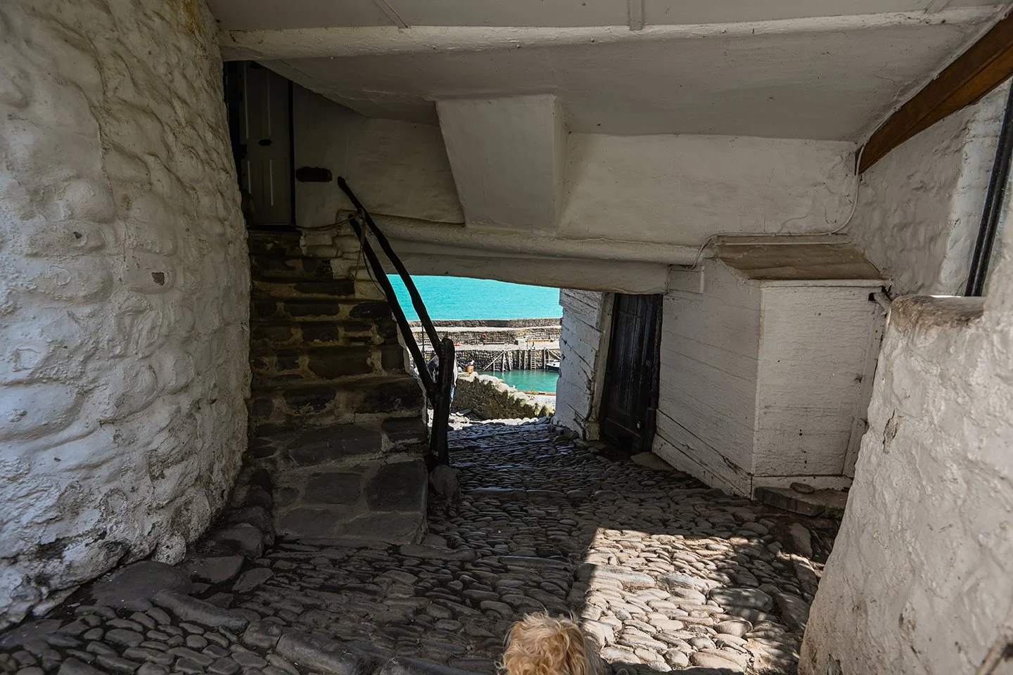 Clovelly-82.jpg