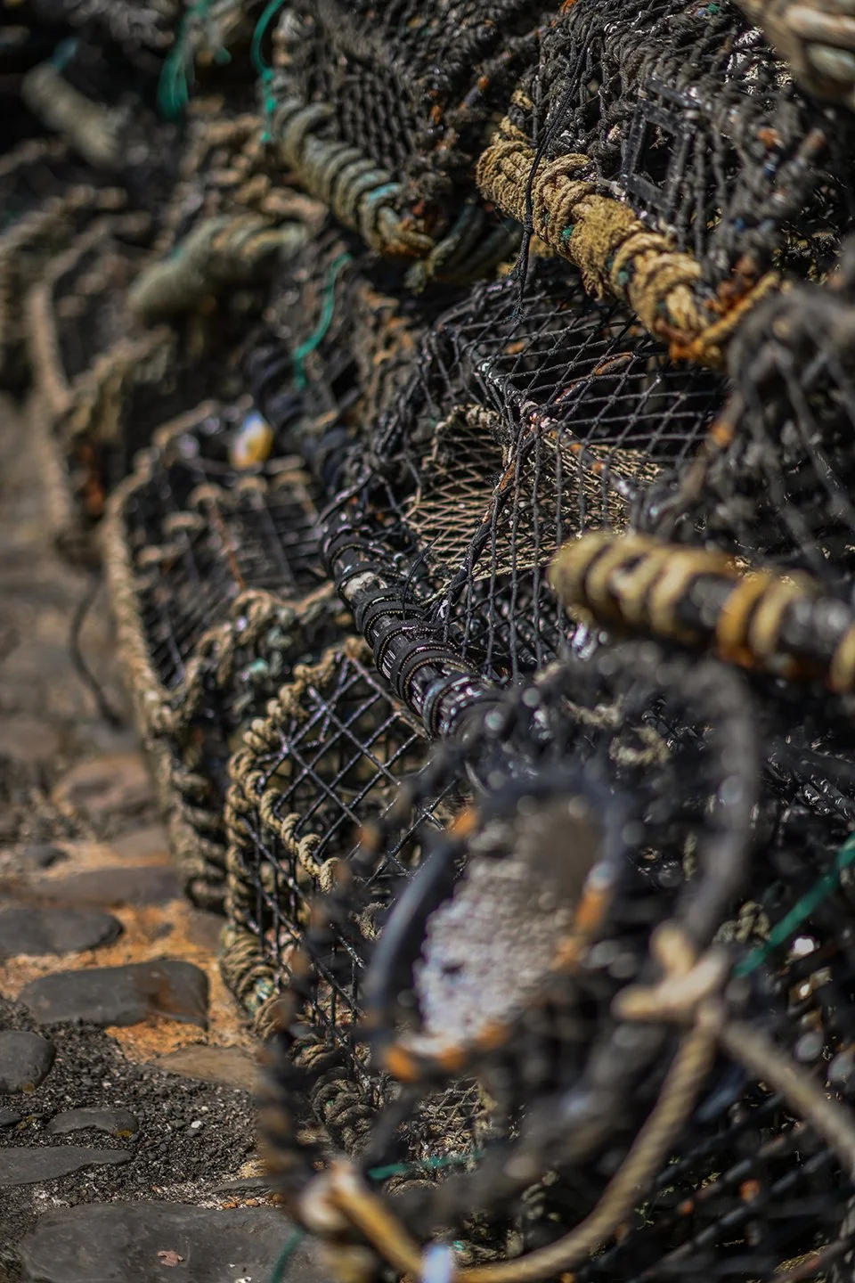Clovelly-160.jpg