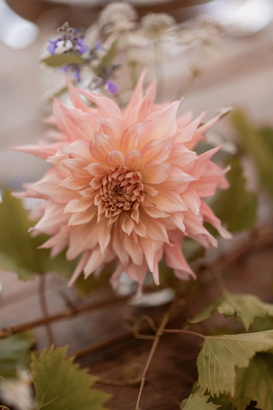 North Devon Wedding Photographer_0032.jpg